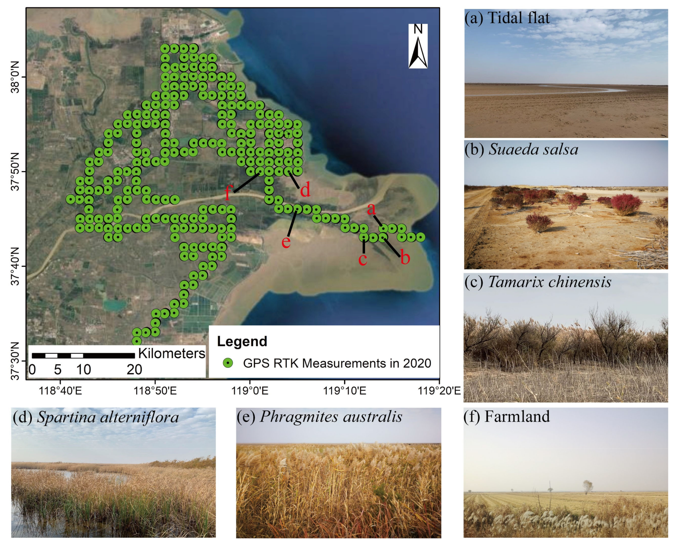 Remotesensing 13 04444 g002