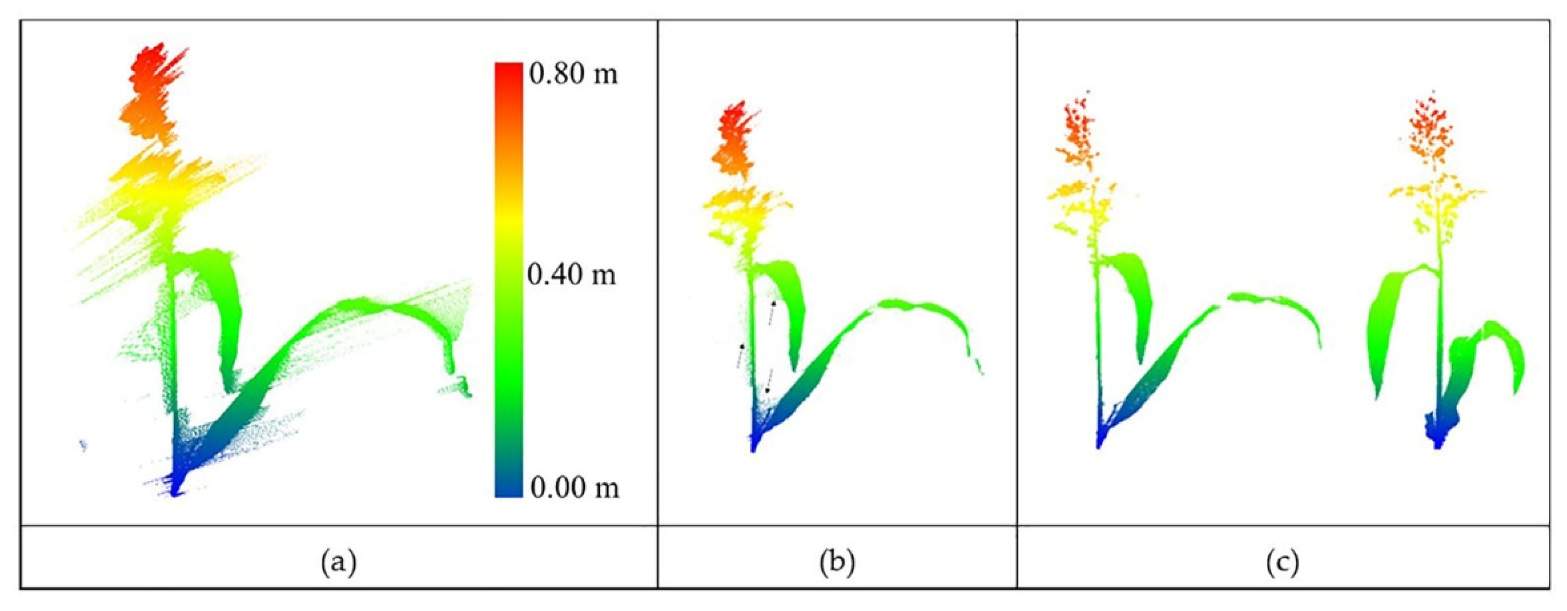 Remotesensing 13 04445 g010