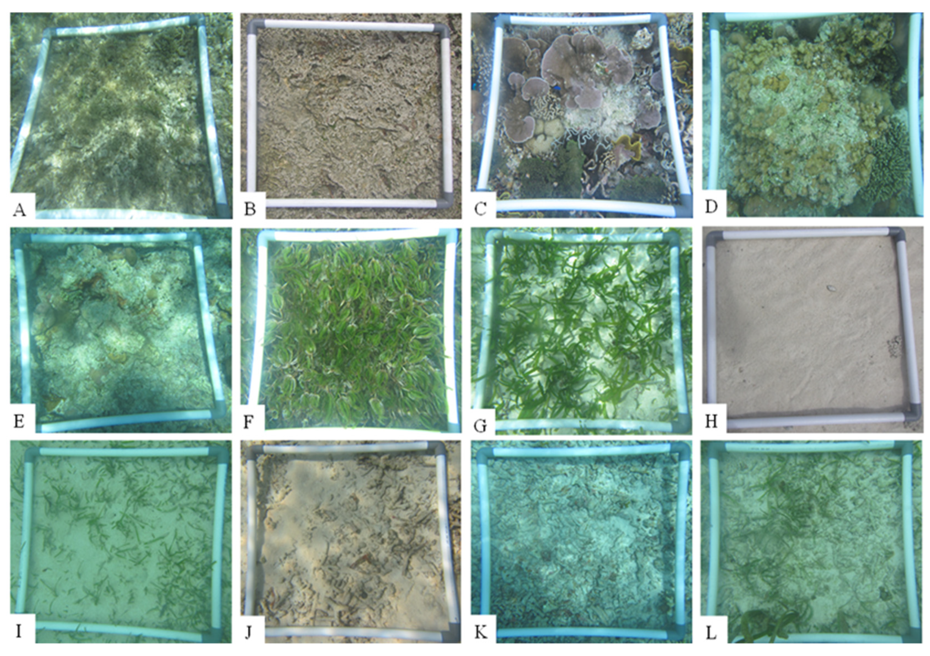 Remotesensing 13 04452 g004