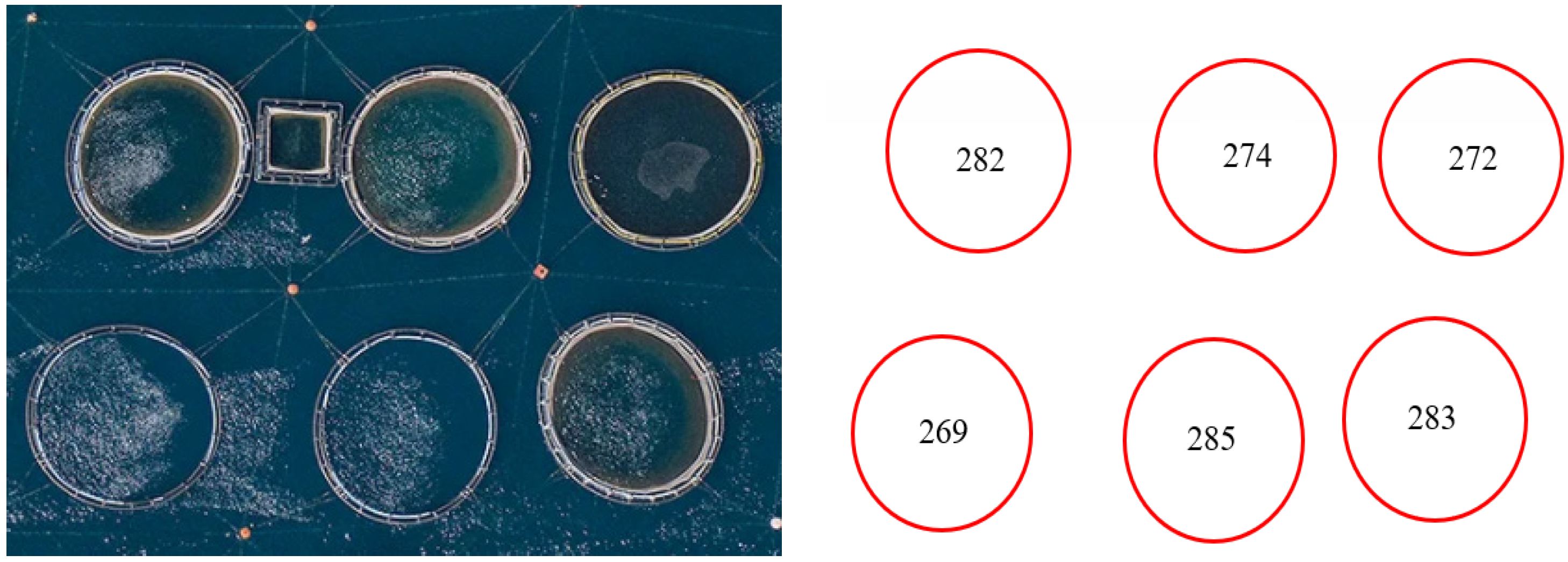 Remotesensing 13 04482 g010