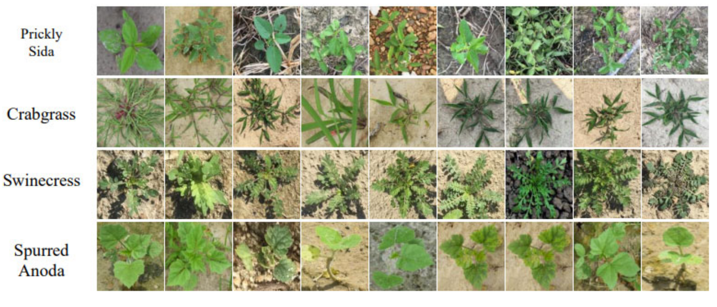 Remotesensing 13 04486 g001