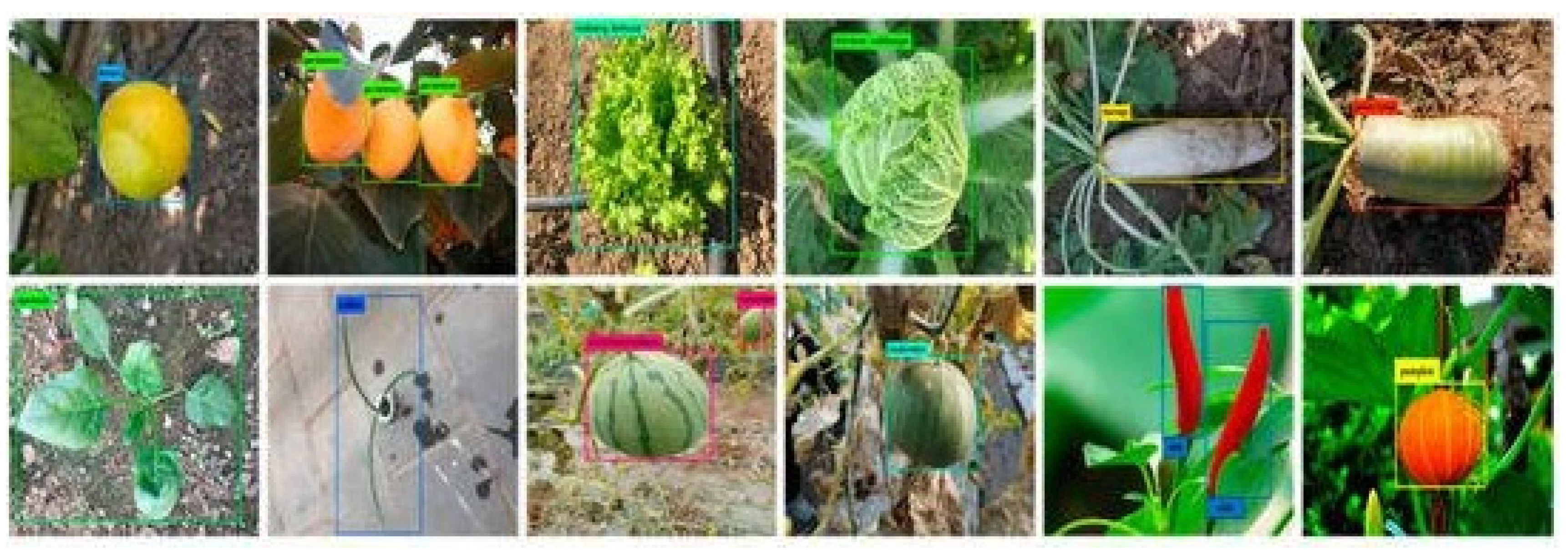 Remotesensing 13 04486 g002