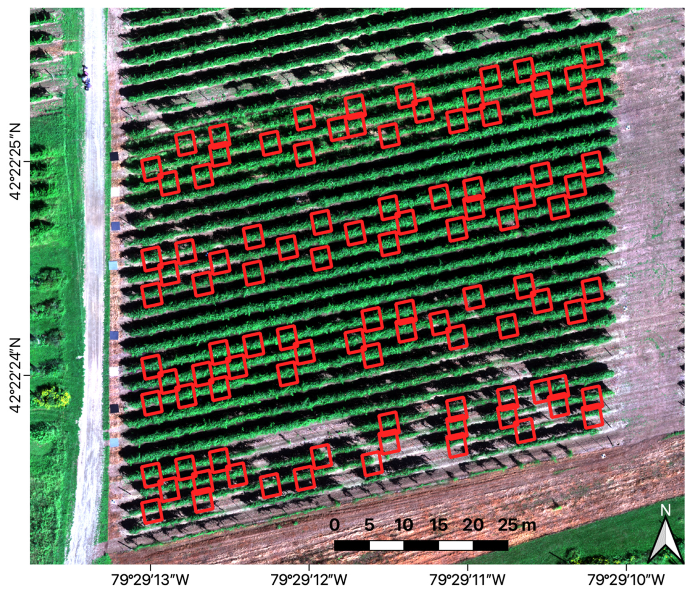 Remotesensing 13 04489 g001