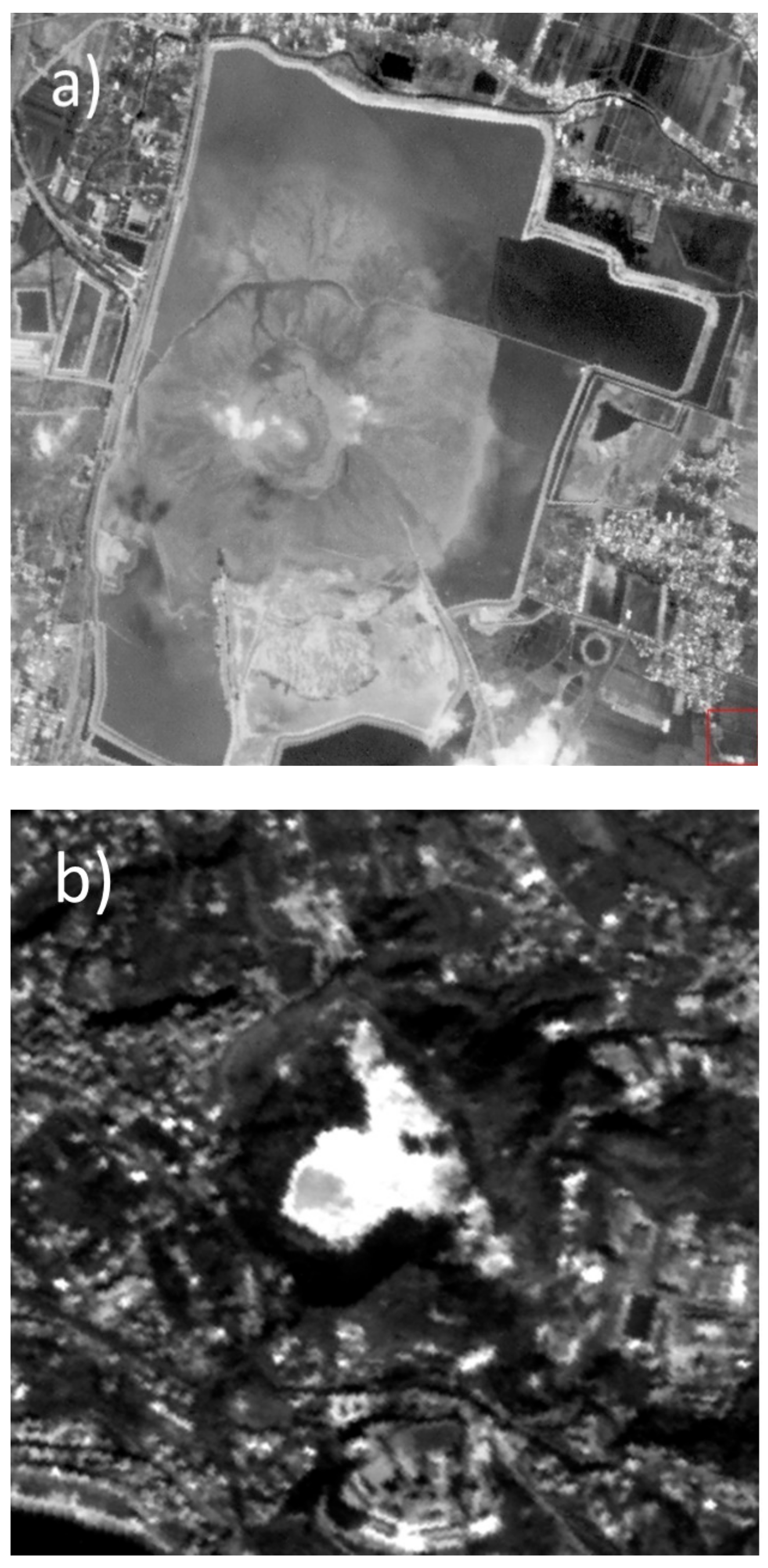 Remotesensing 13 04502 g006