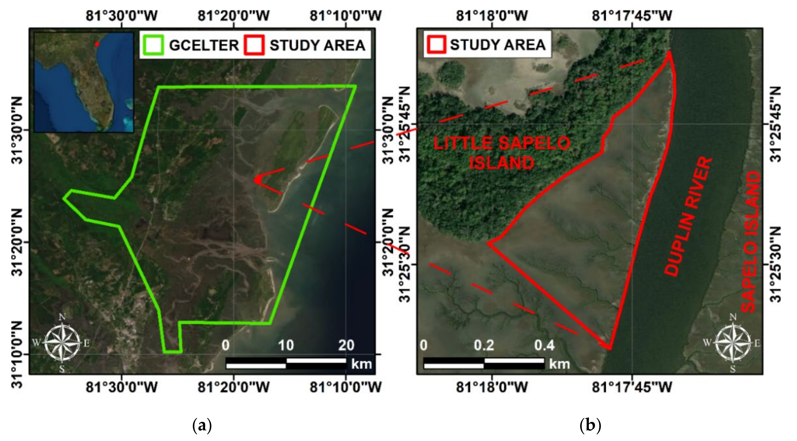 Remotesensing 13 04506 g001