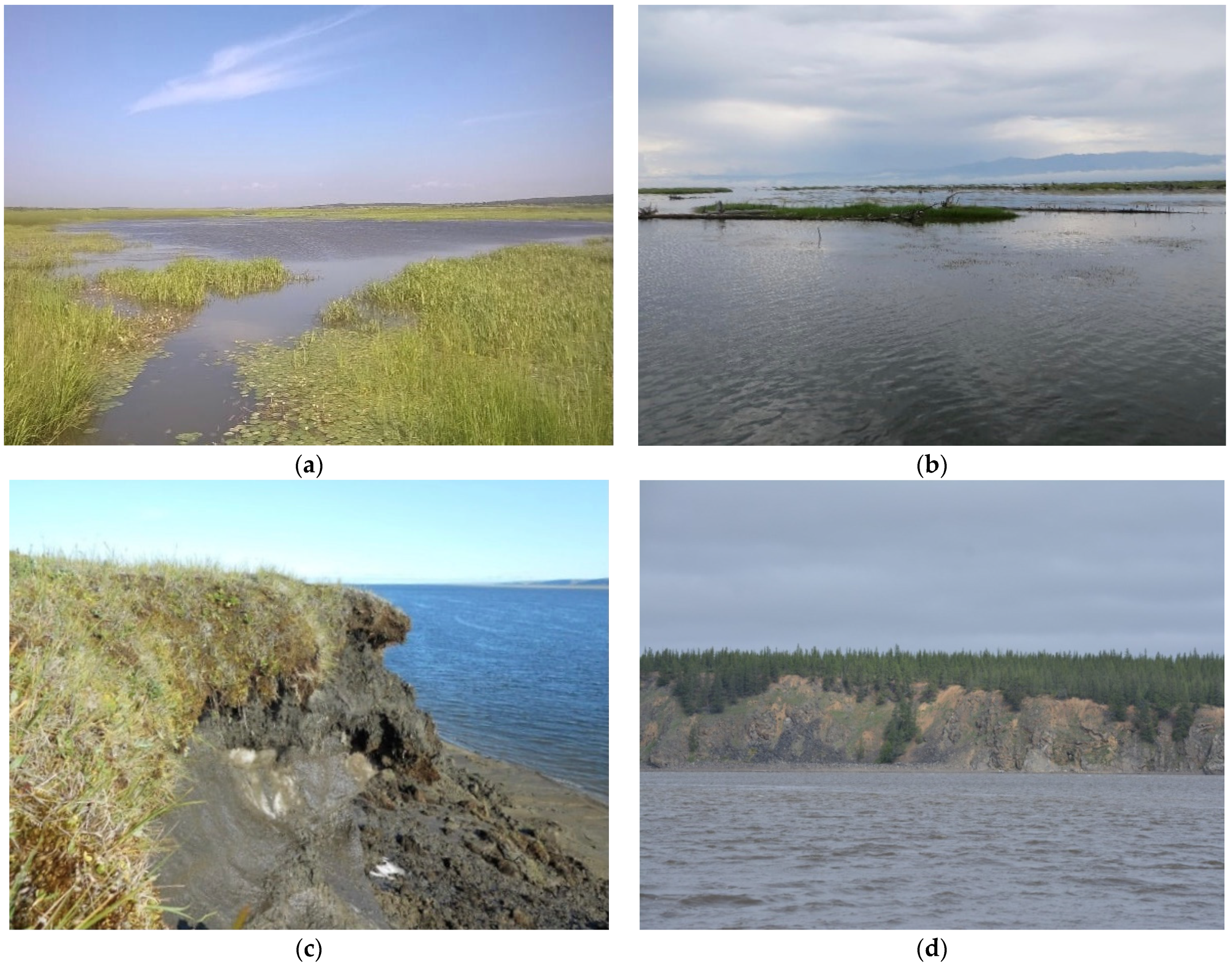 Remotesensing 13 04549 g005