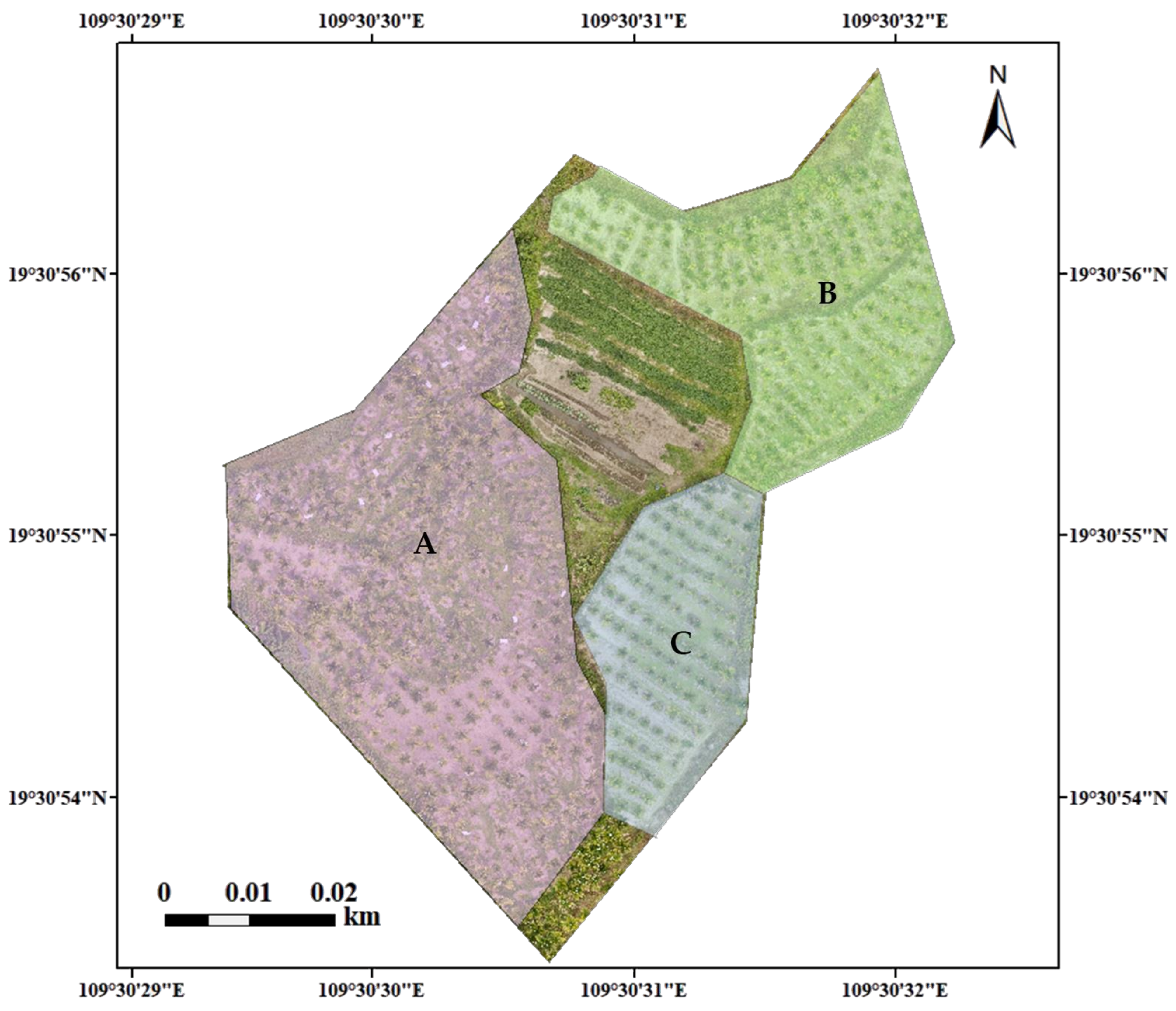 Remotesensing 13 04562 g005