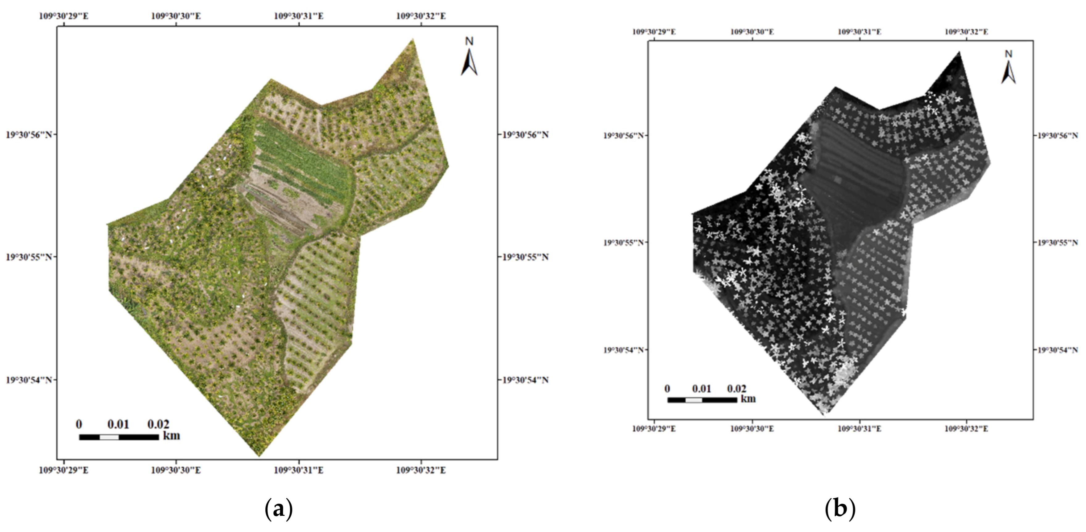 Remotesensing 13 04562 g007