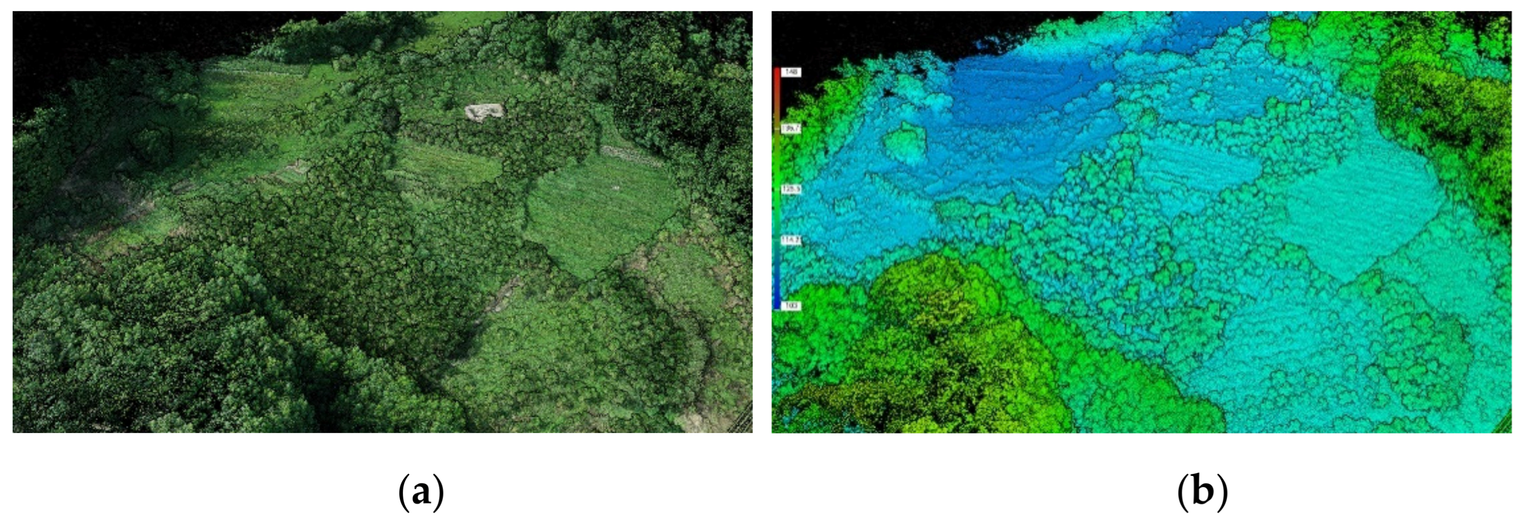 Remotesensing 13 04562 g008