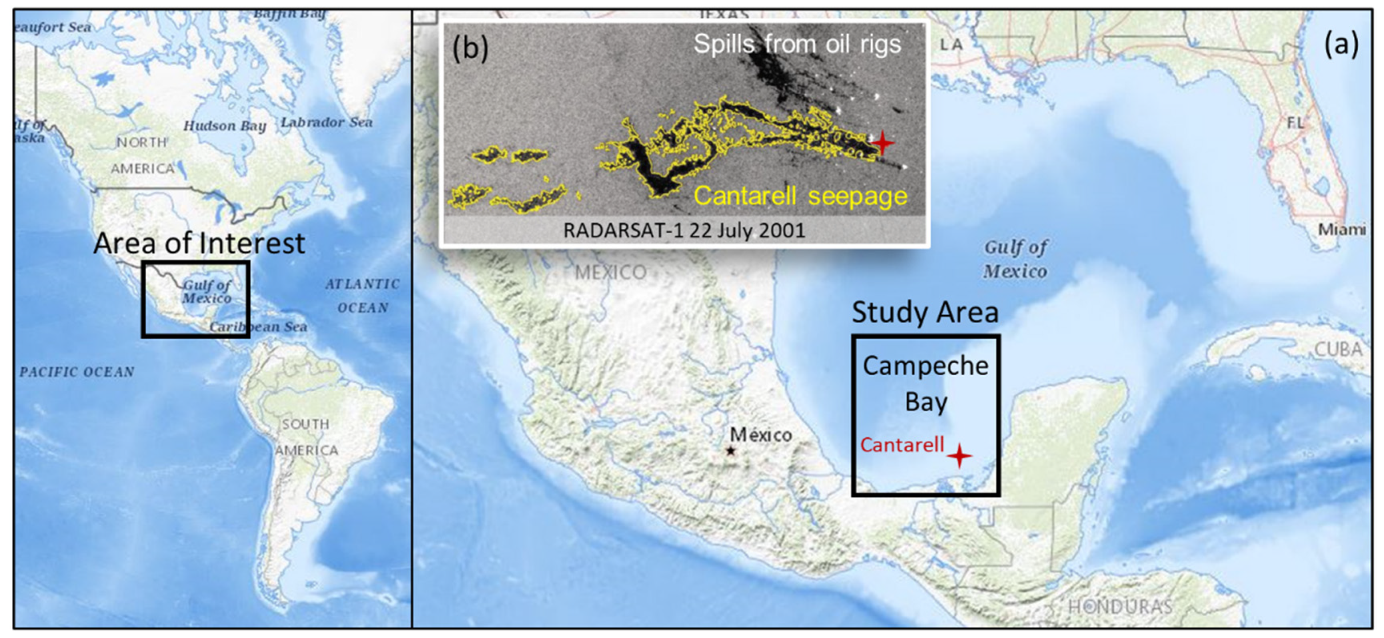 Remotesensing 13 04568 g001