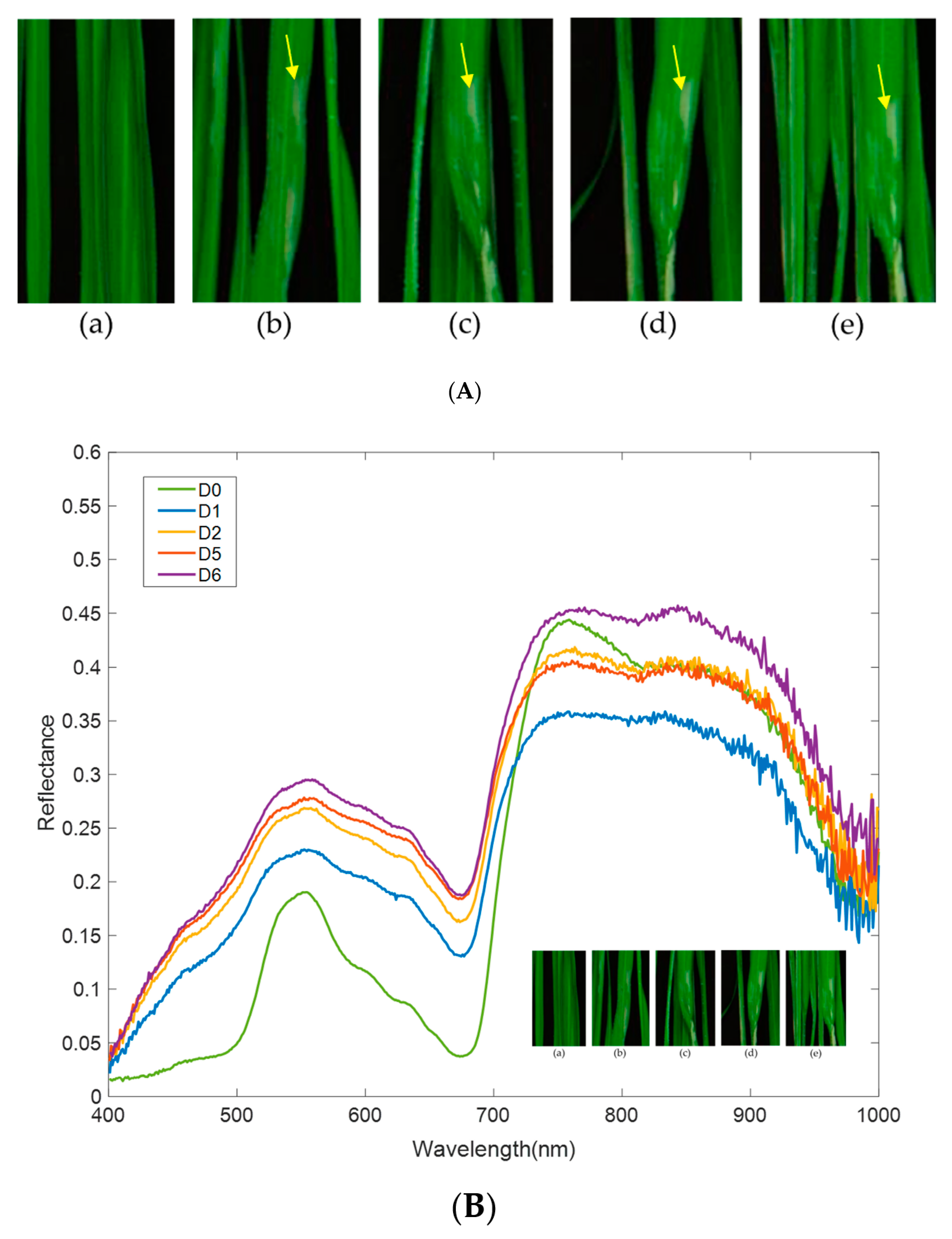 Remotesensing 13 04587 g007 Remotesensing 13 04587 g007
