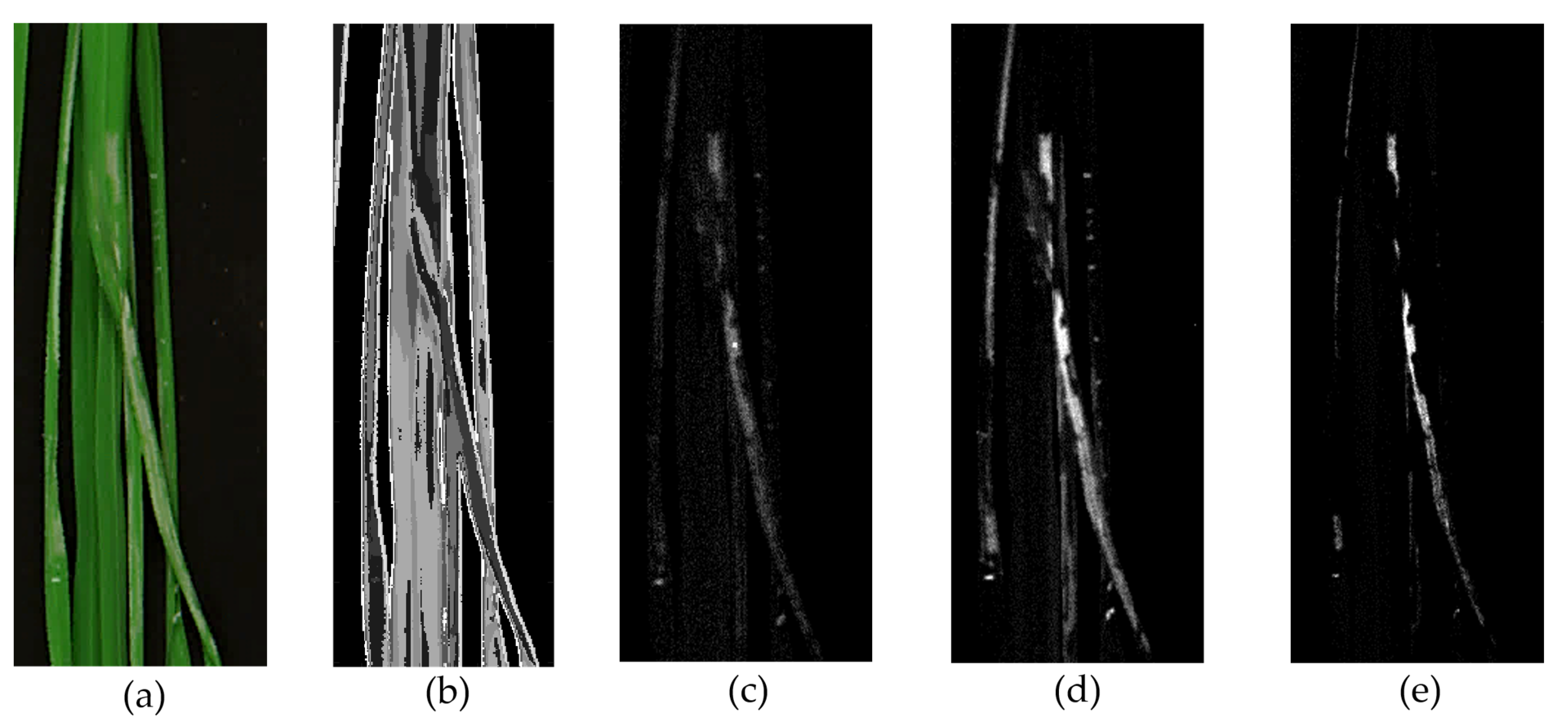 Remotesensing 13 04587 g009 Remotesensing 13 04587 g009