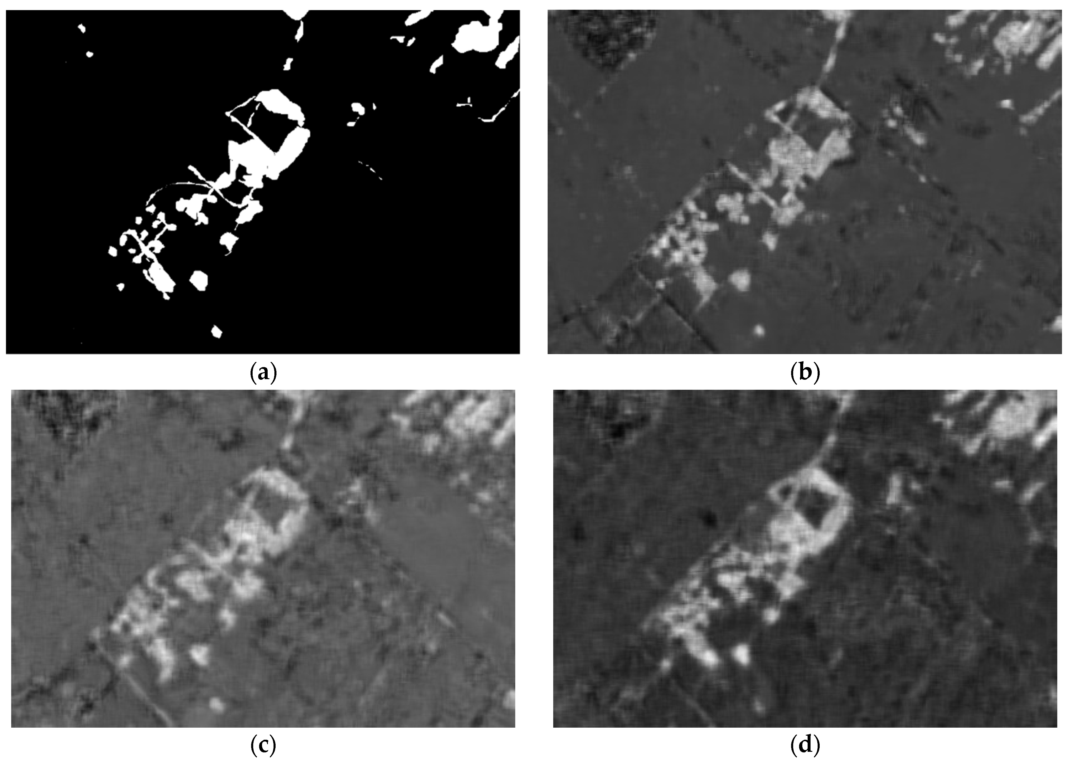 Remotesensing 13 04597 g010