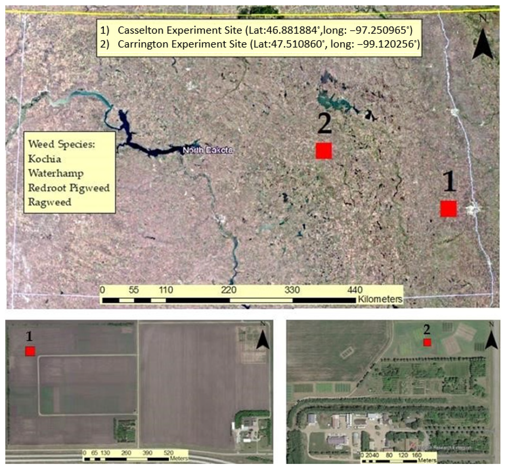 Remotesensing 13 04606 g001 Remotesensing 13 04606 g001