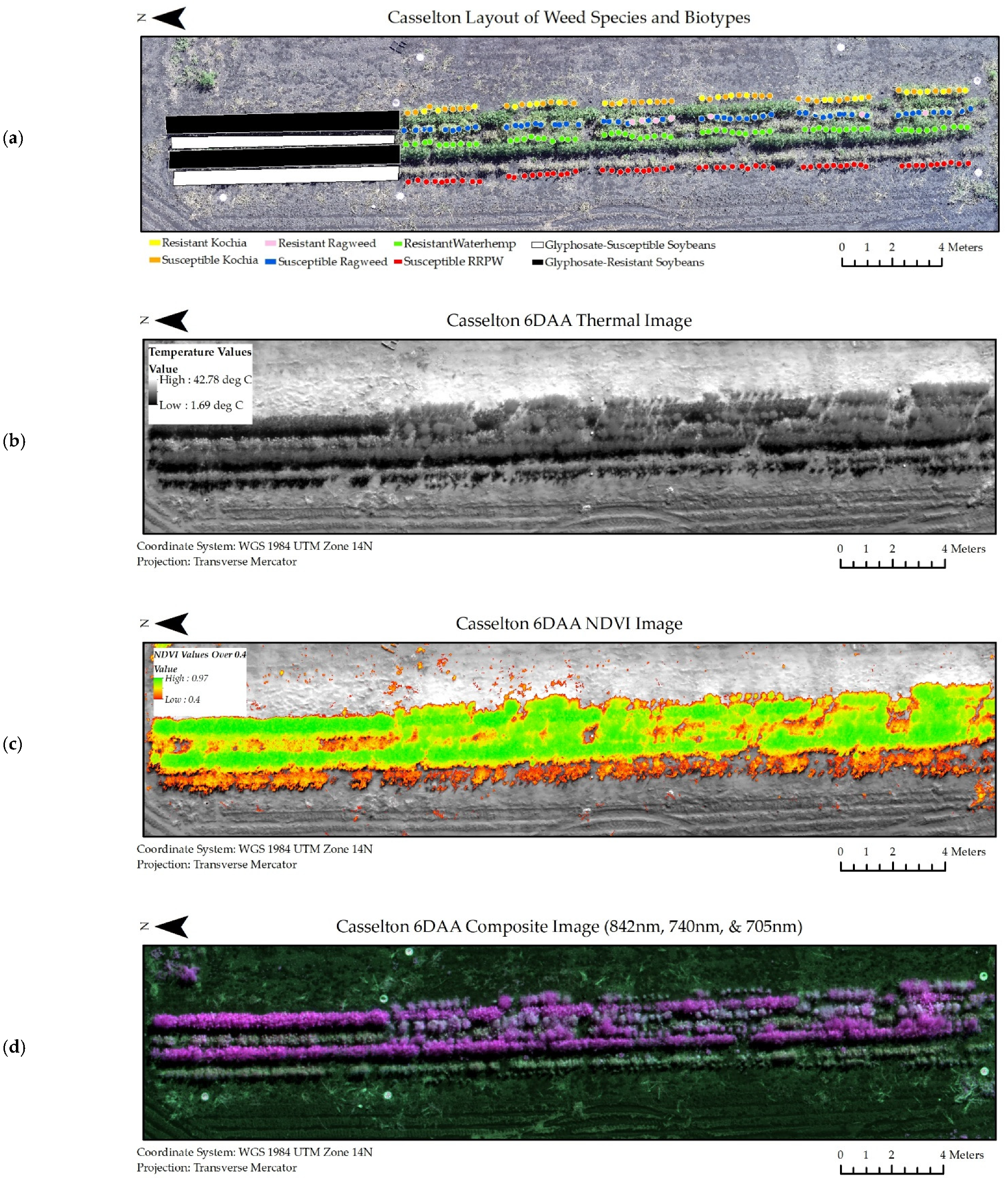 Remotesensing 13 04606 g005 Remotesensing 13 04606 g005