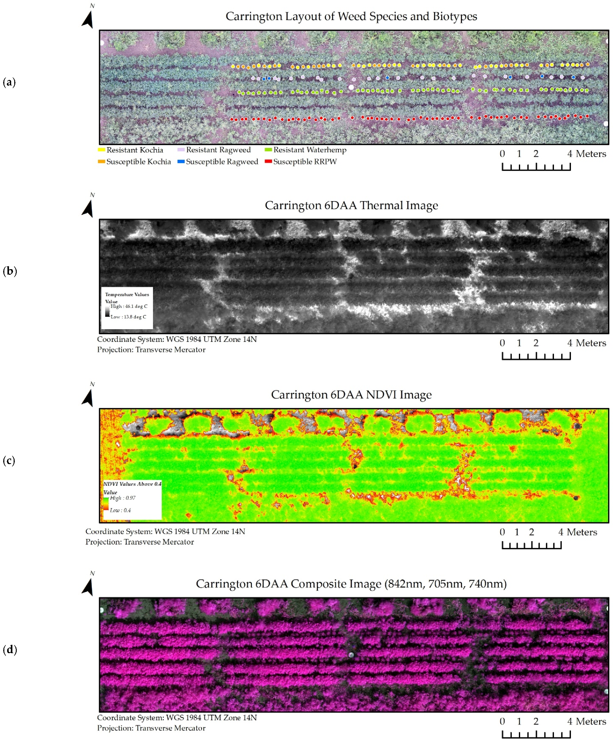 Remotesensing 13 04606 g006 Remotesensing 13 04606 g006