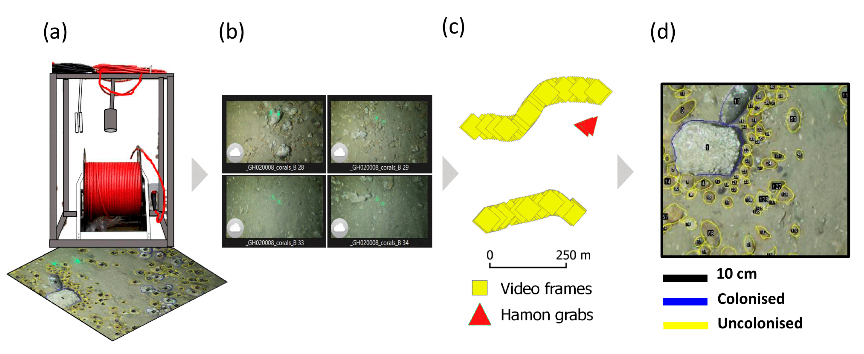 Remotesensing 13 04608 g003