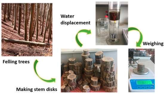 Remotesensing 13 04627 g0a1 550