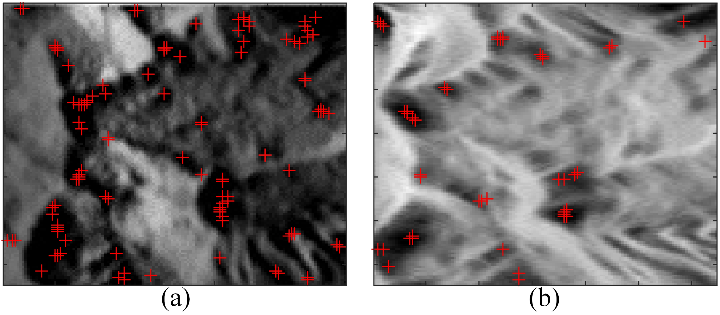 Remotesensing 13 04637 g004