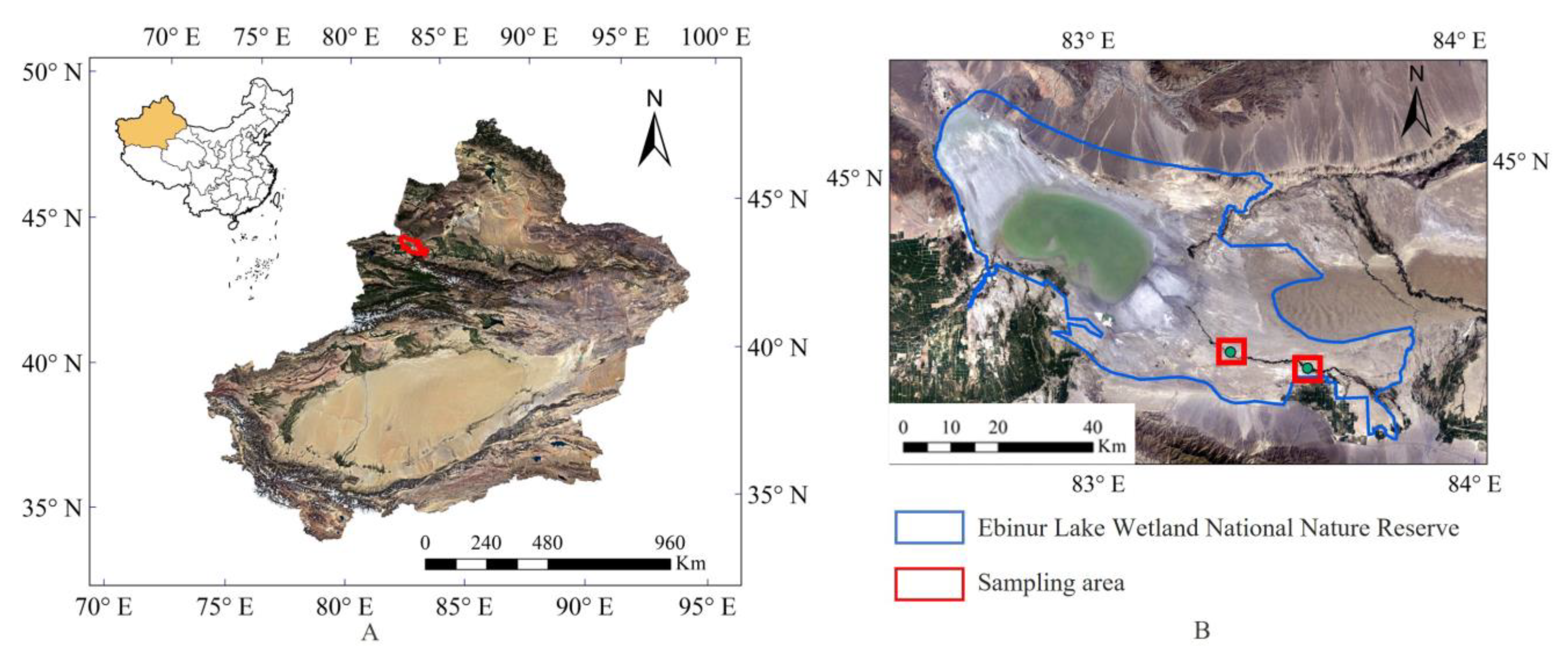 Remotesensing 13 04643 g001