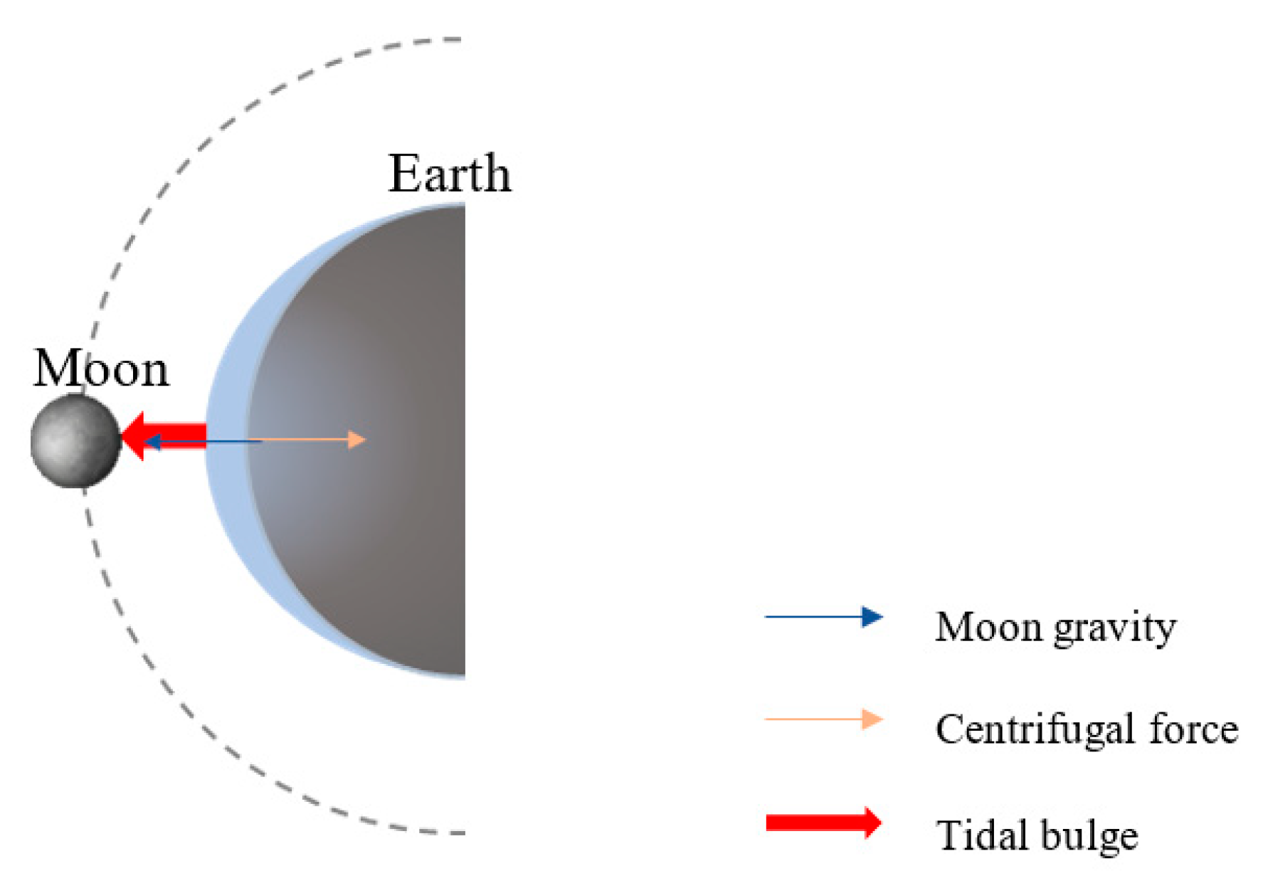 Remotesensing 13 04644 g001