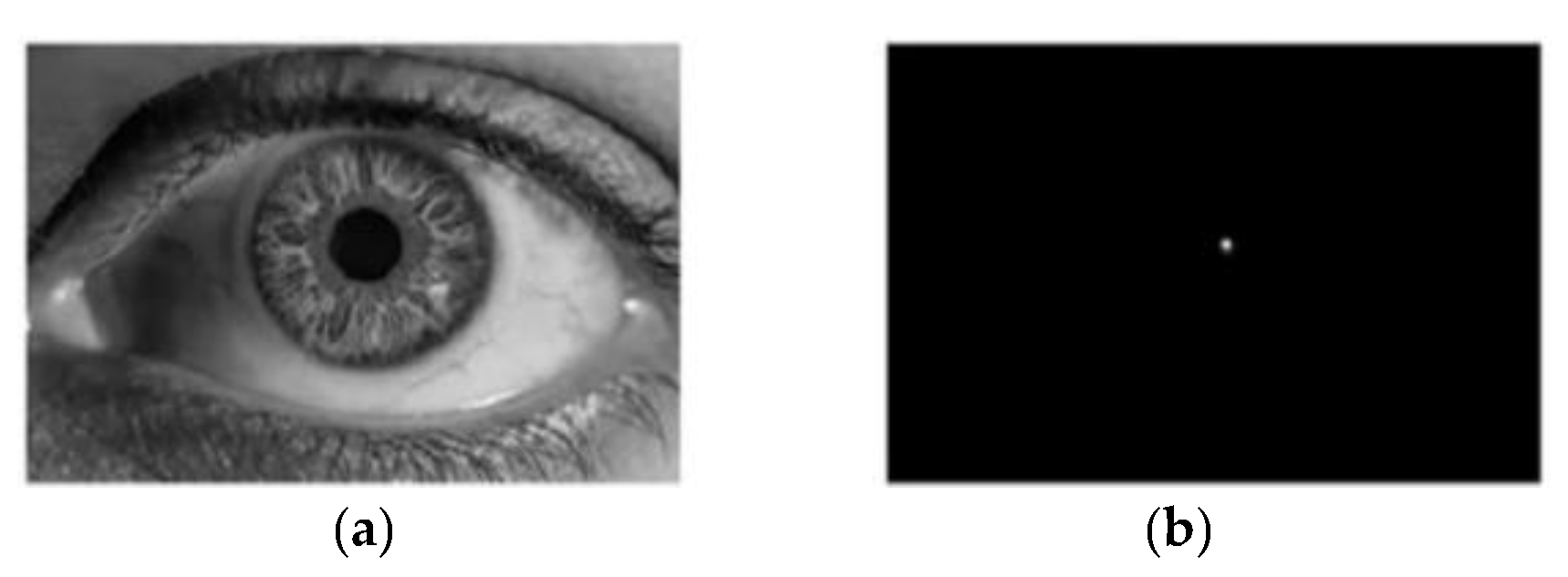 Remotesensing 13 04646 g006