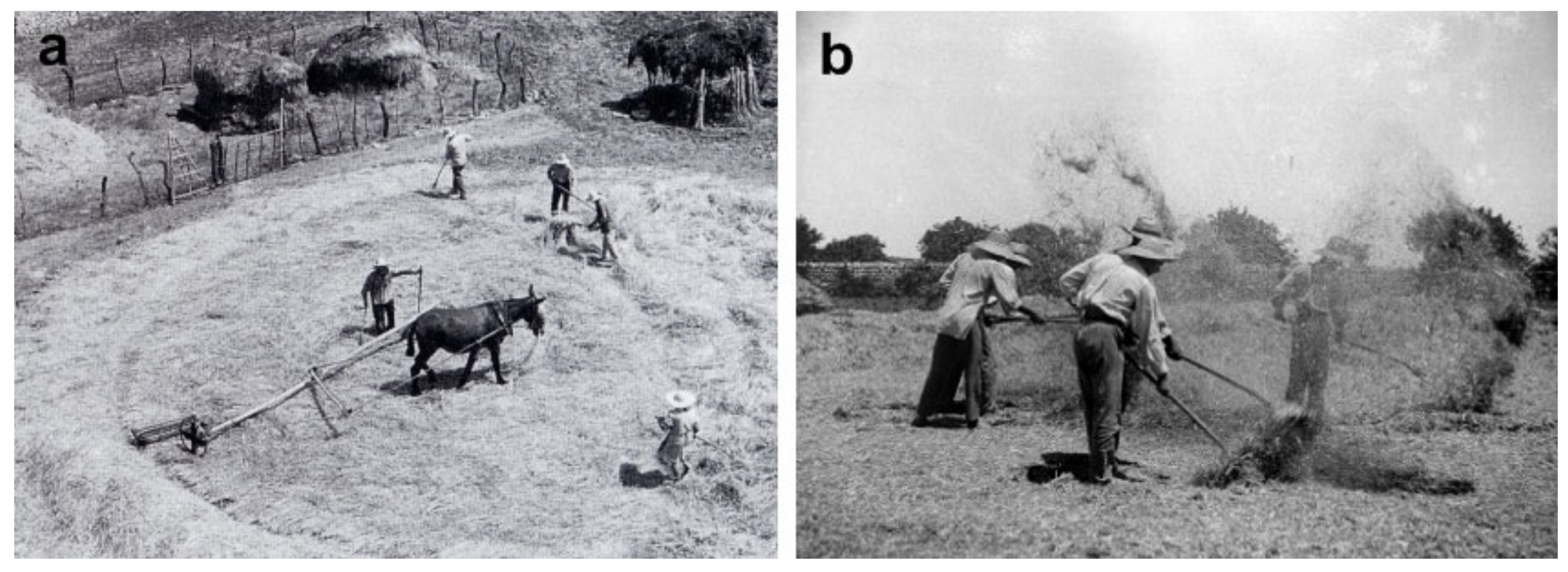 Remotesensing 13 04652 g005