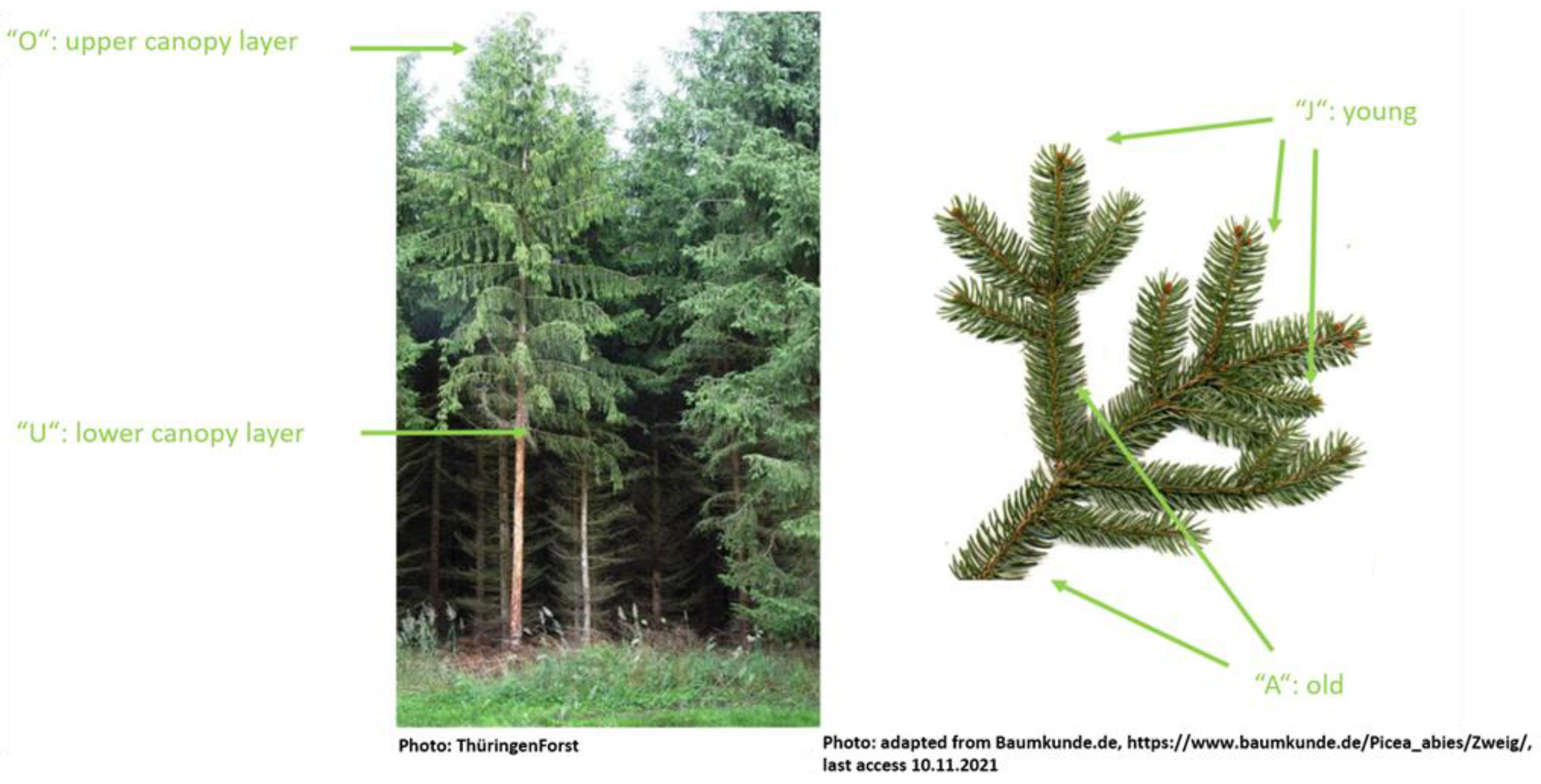 Remotesensing 13 04659 g003