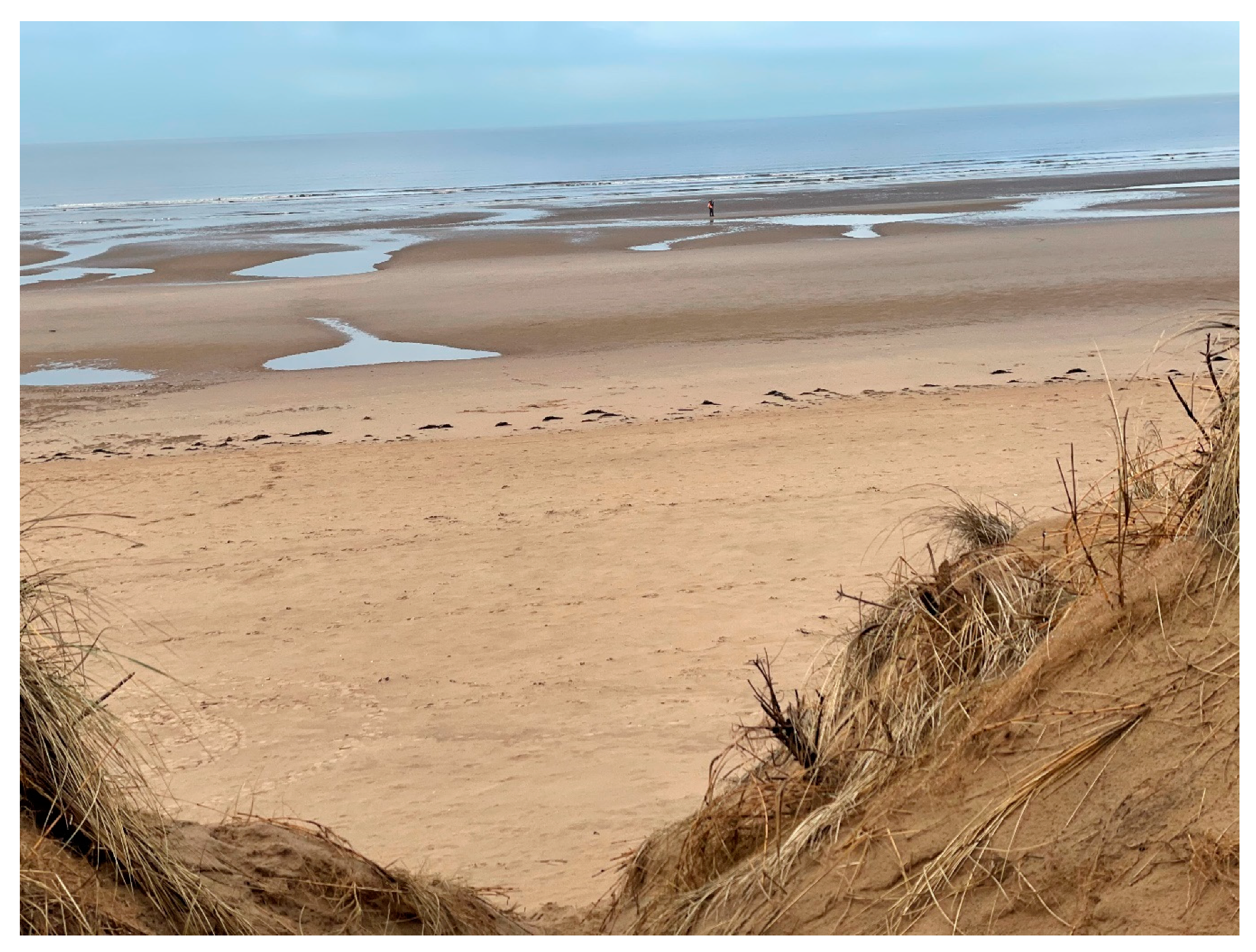 Remotesensing 13 04665 g011