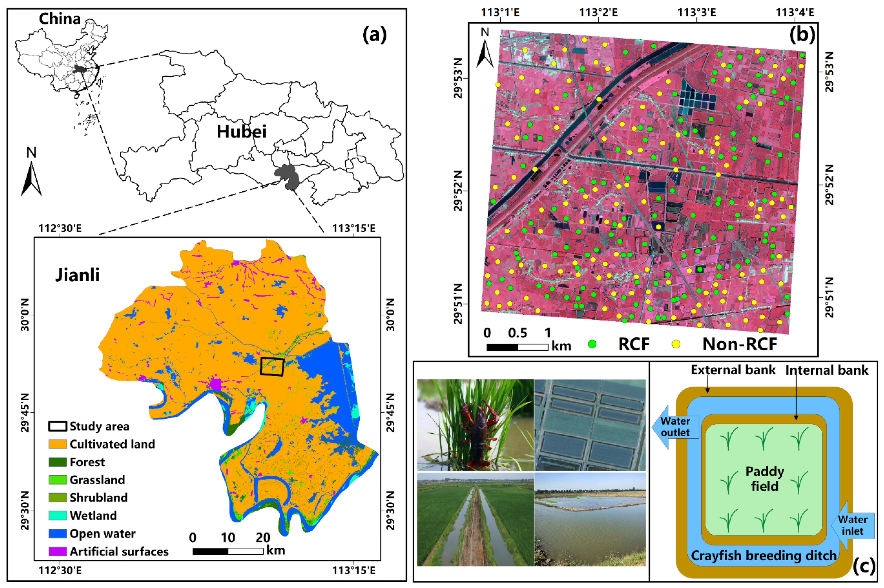 Remotesensing 13 04666 g001