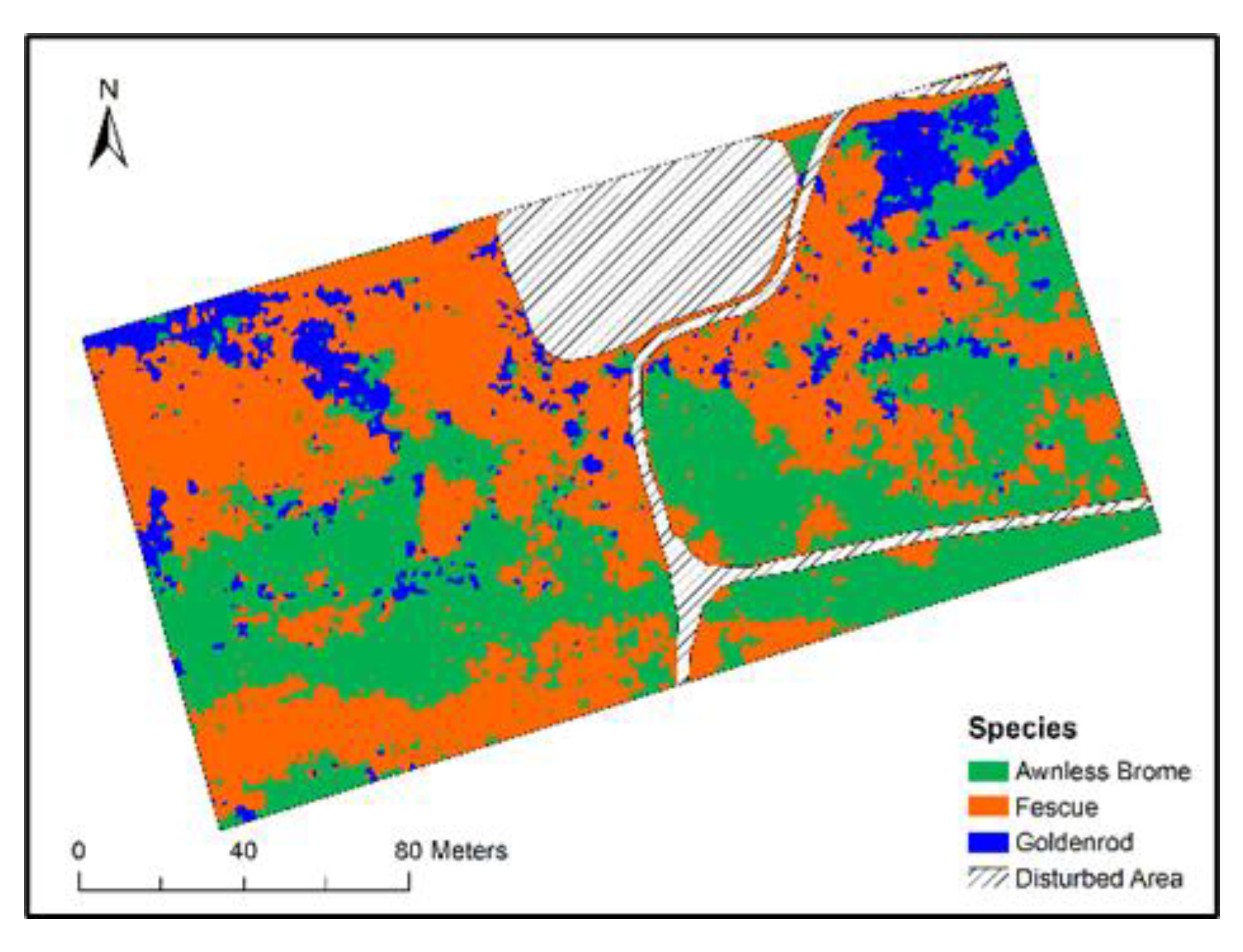 Remotesensing 13 04671 g007