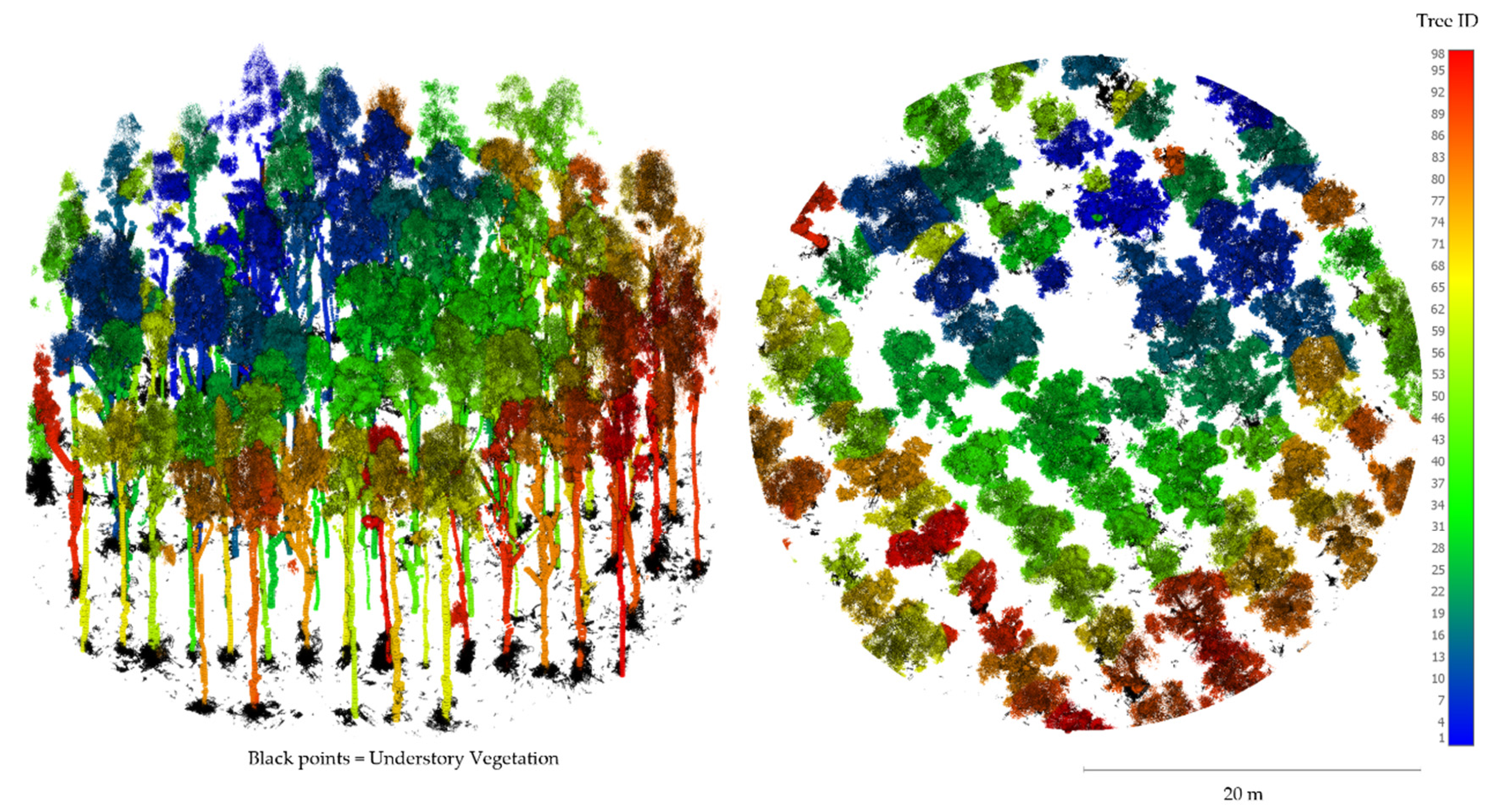 Remotesensing 13 04677 g008