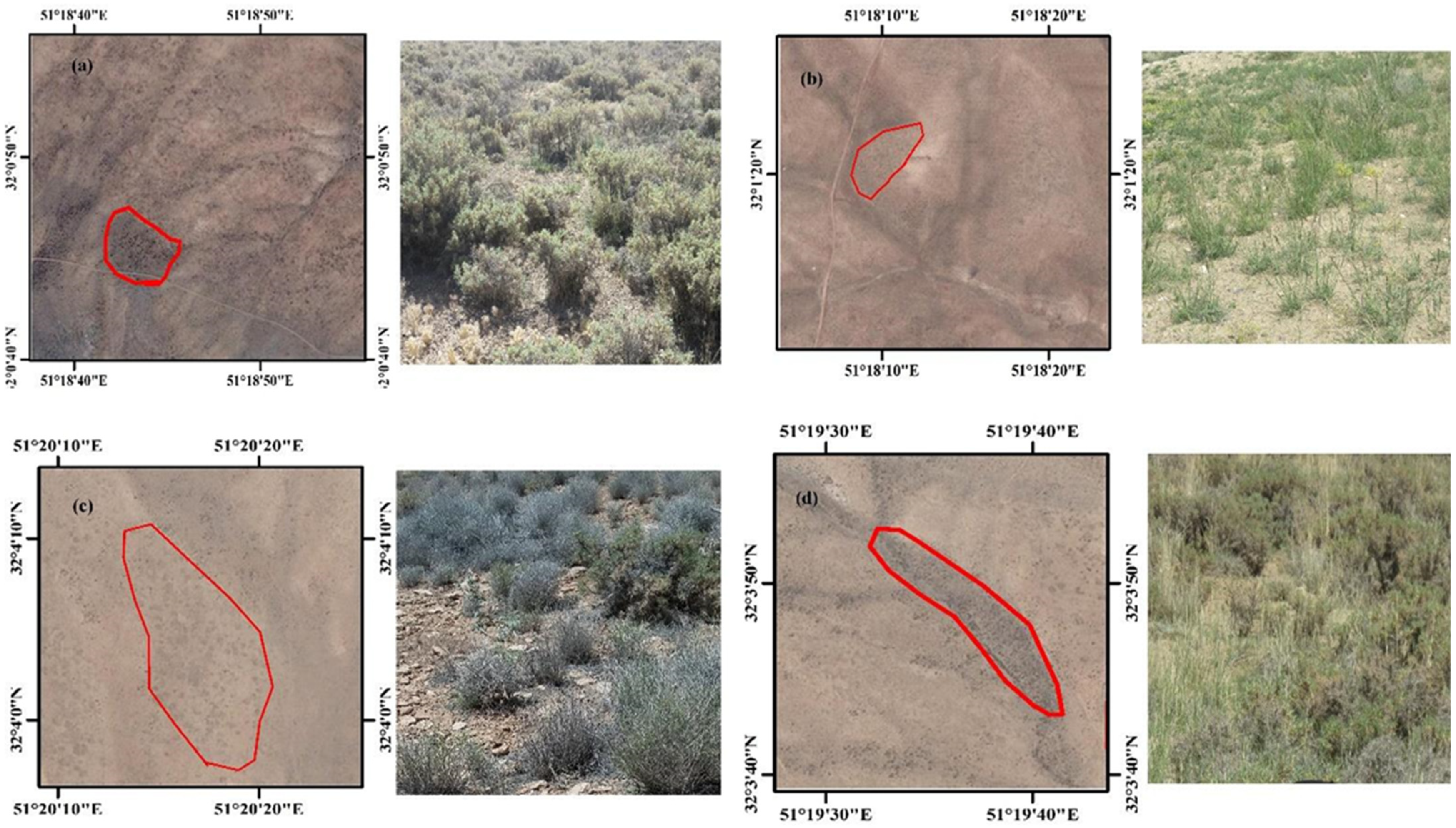 Remotesensing 13 04683 g002