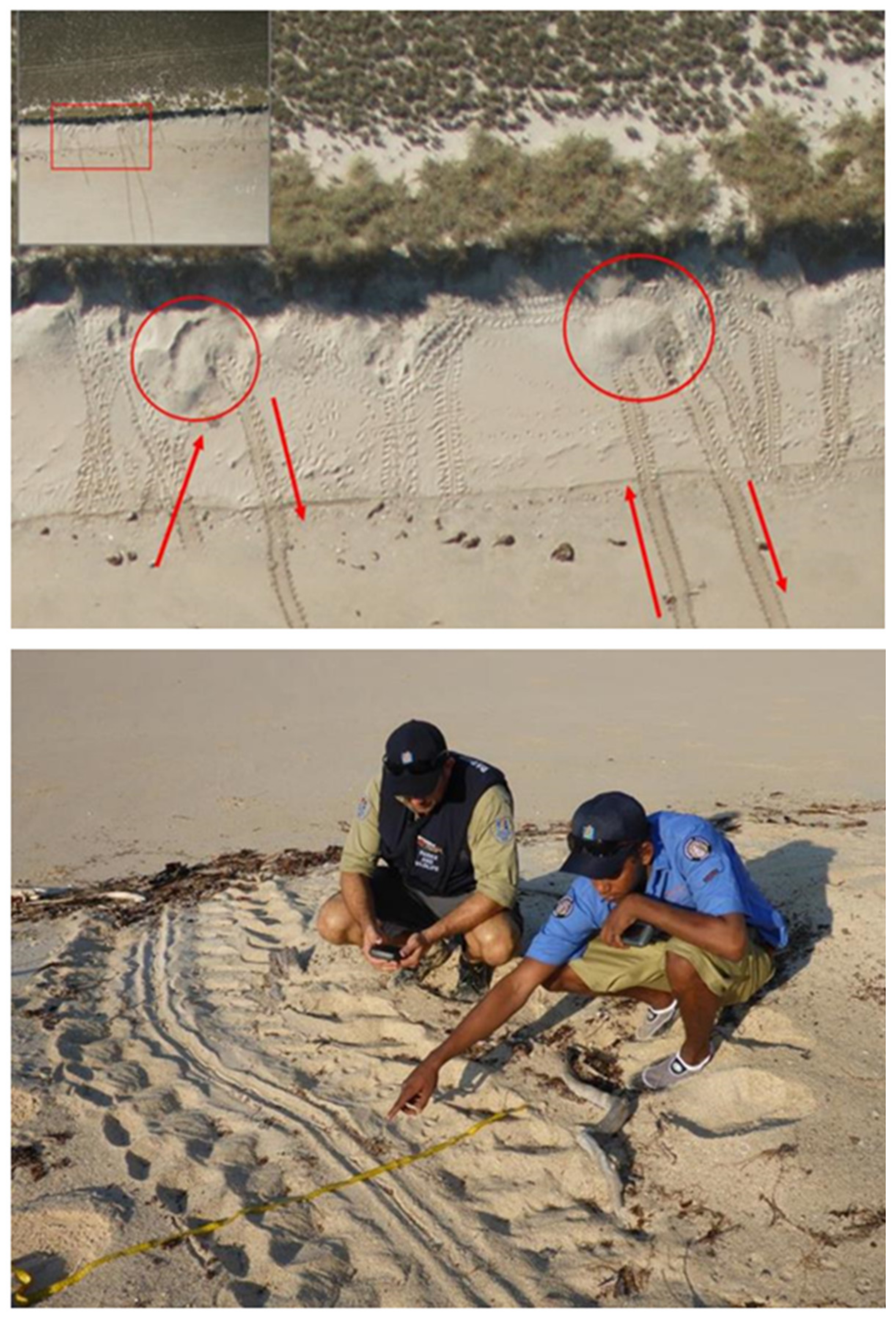 Remotesensing 13 04696 g002