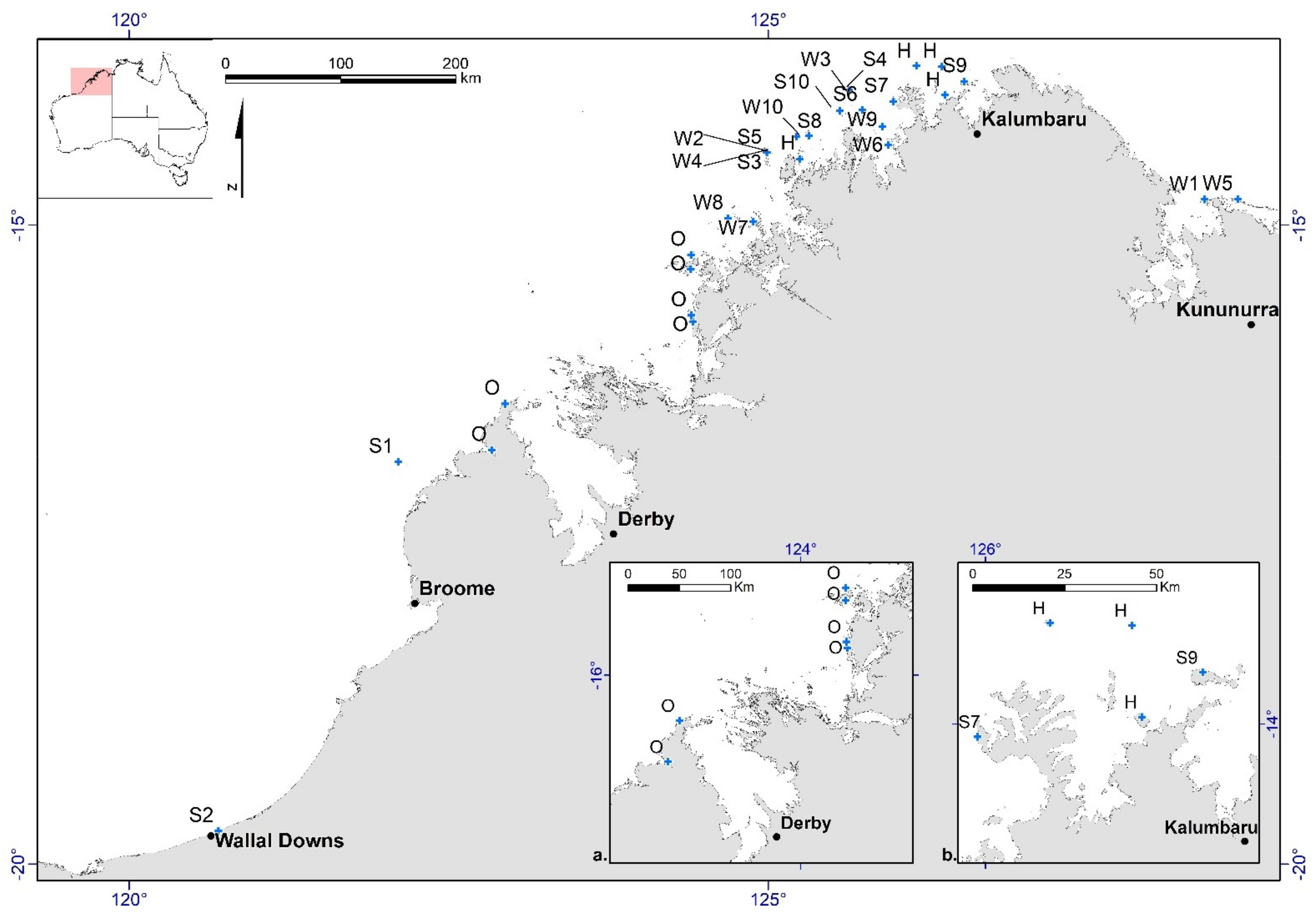 Remotesensing 13 04696 g006