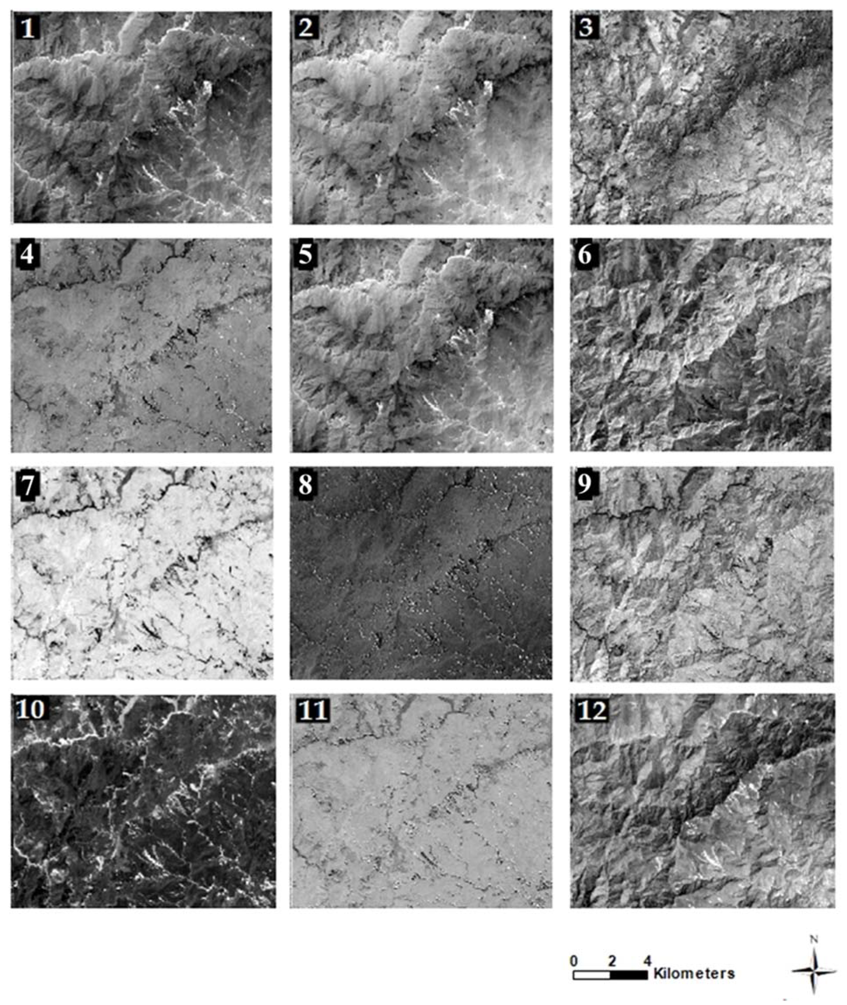 Remotesensing 13 04698 g010