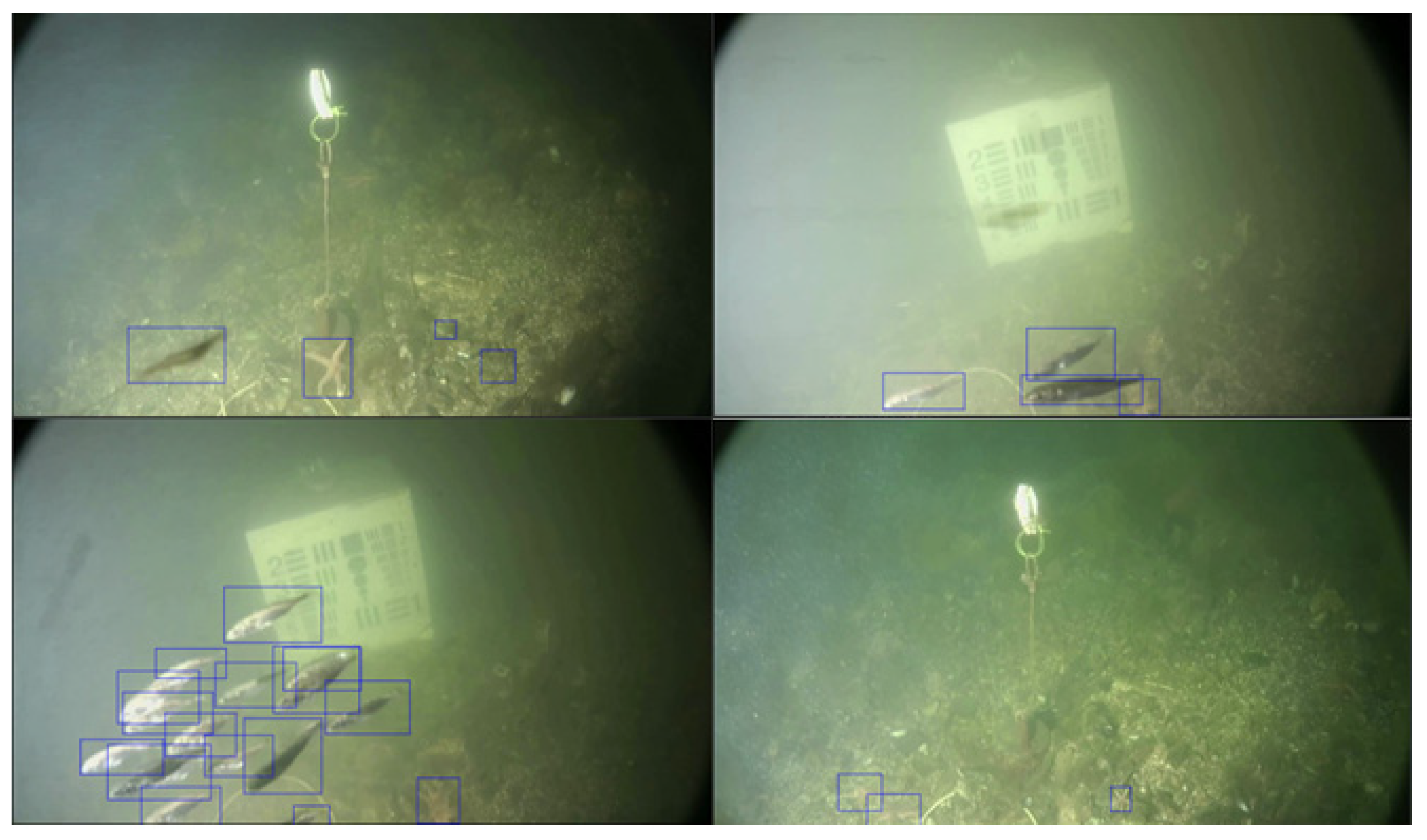 Remotesensing 13 04706 g008