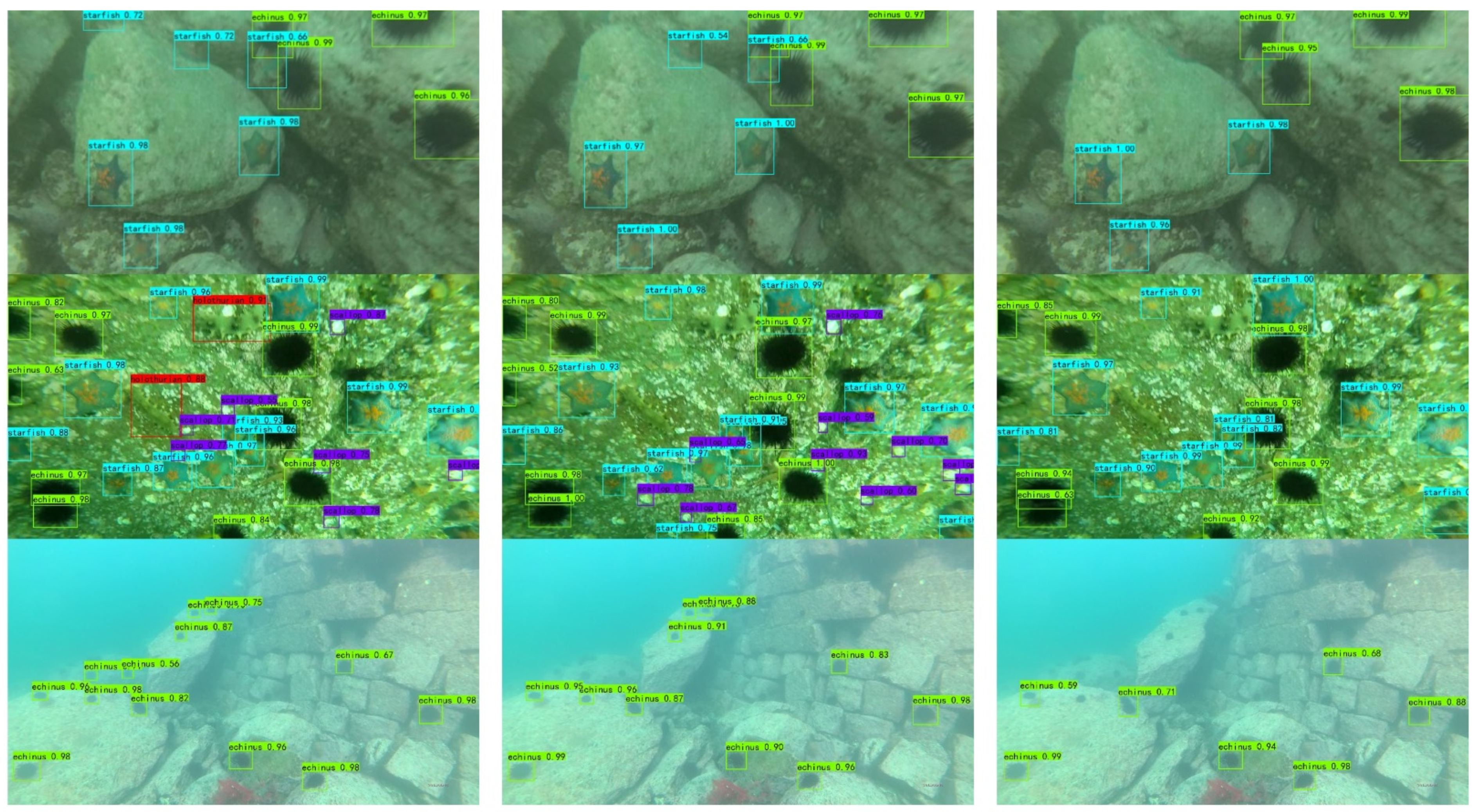 Remotesensing 13 04706 g011