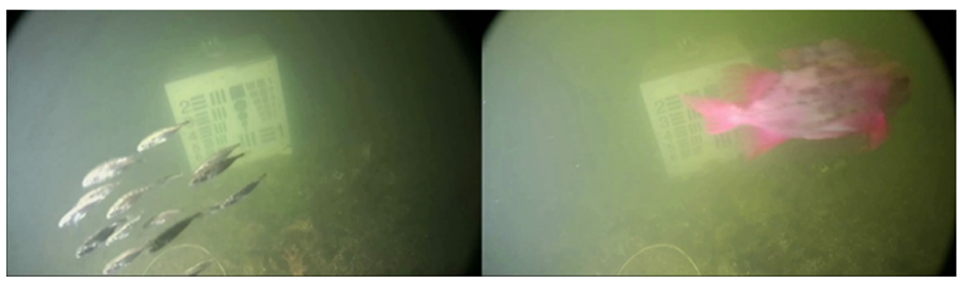 Remotesensing 13 04706 g012