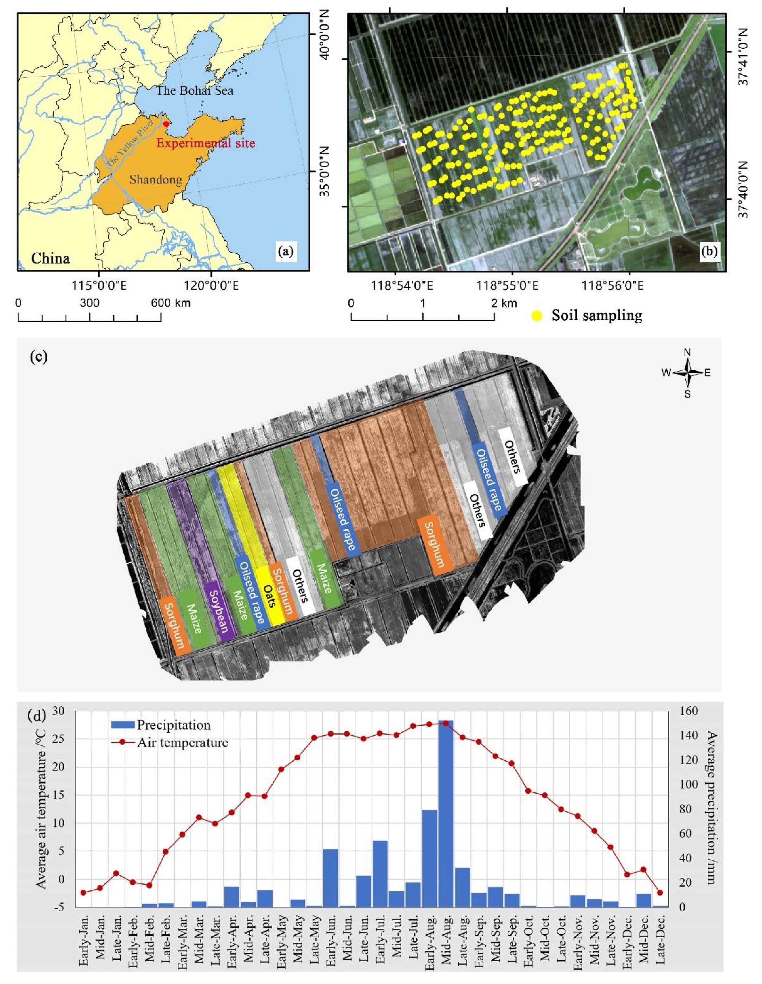Remotesensing 13 04716 g001