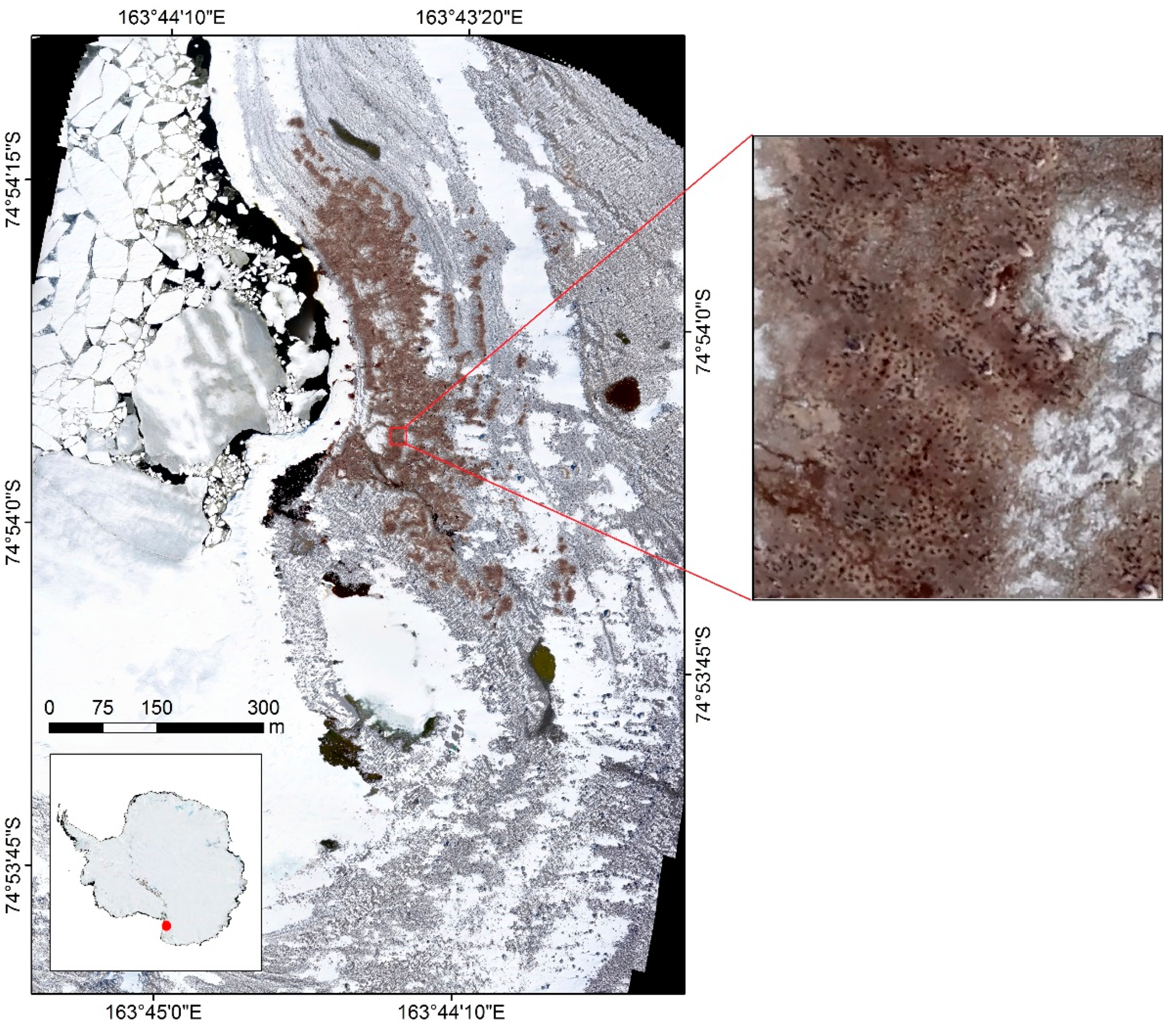 Remotesensing 13 04718 g001