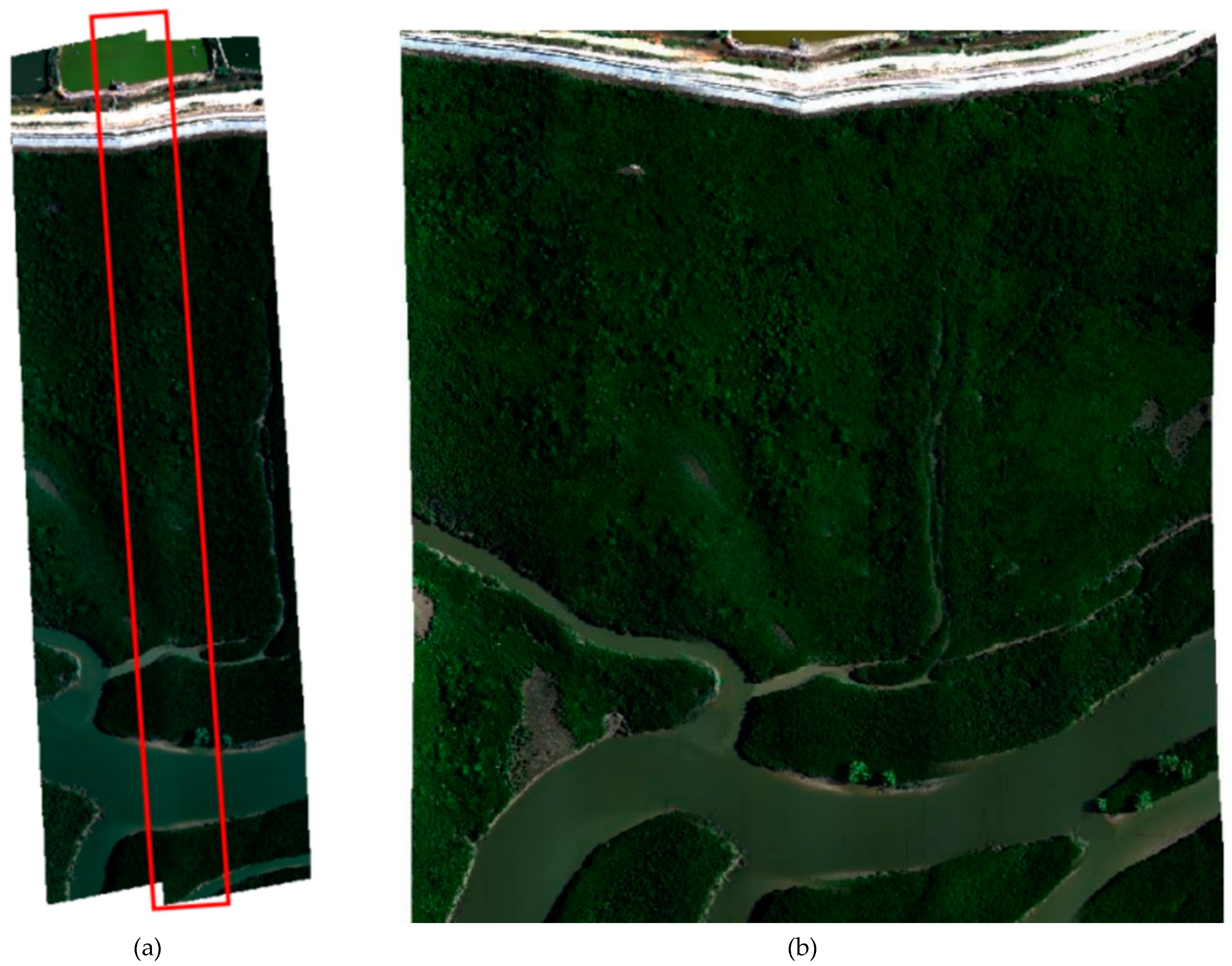 Remotesensing 13 04720 g013