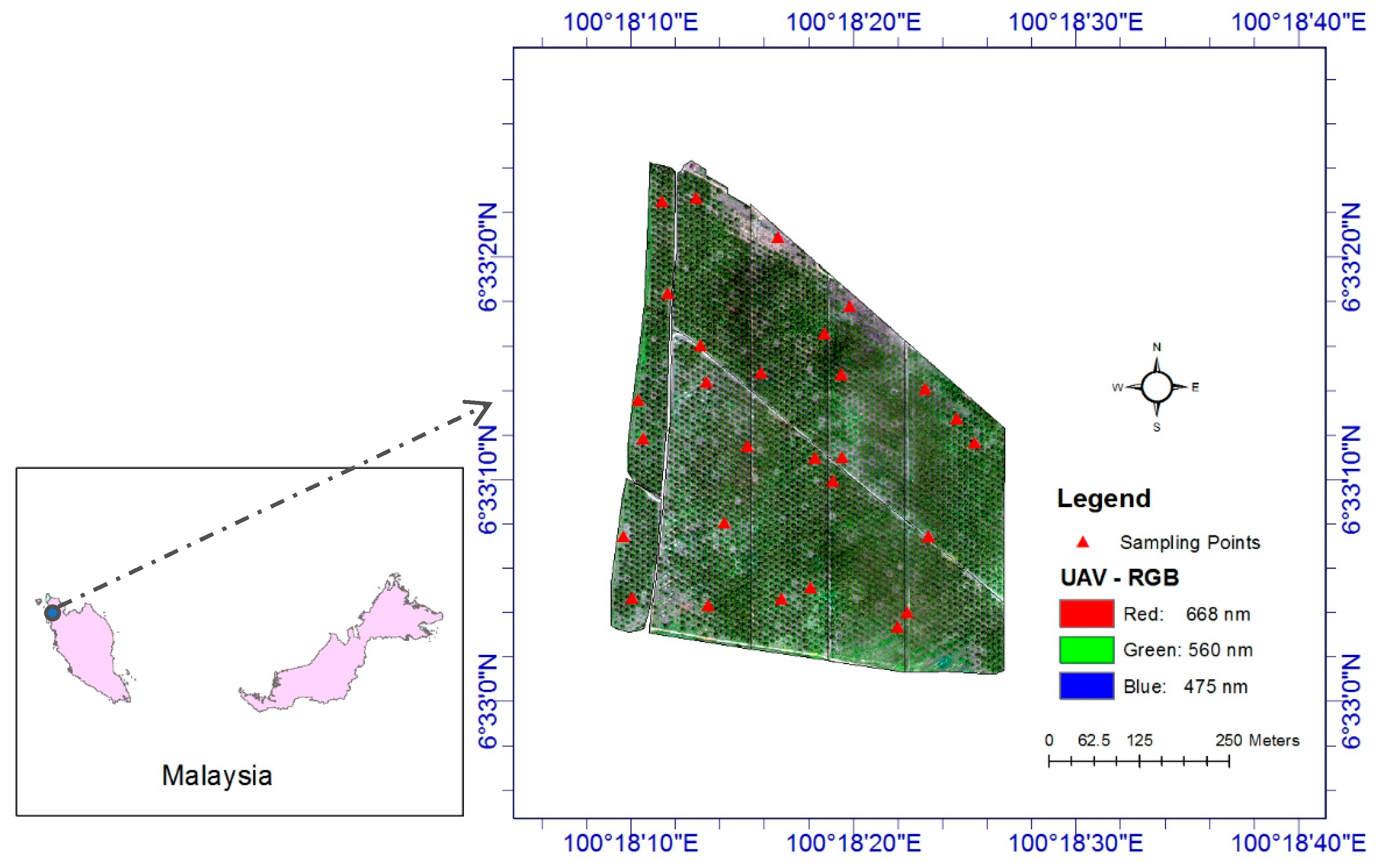 Remotesensing 13 04729 g001
