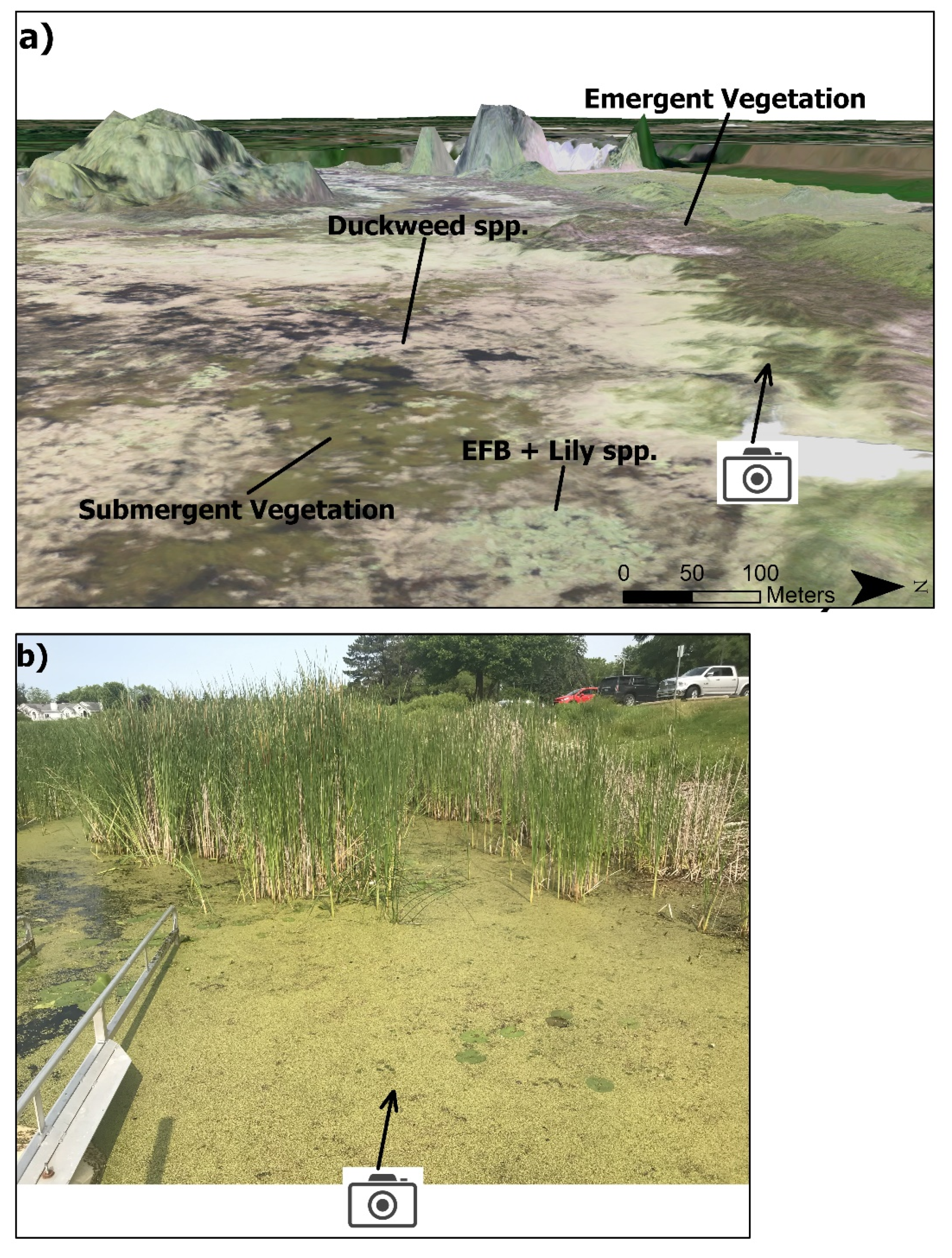 Remotesensing 13 04733 g002