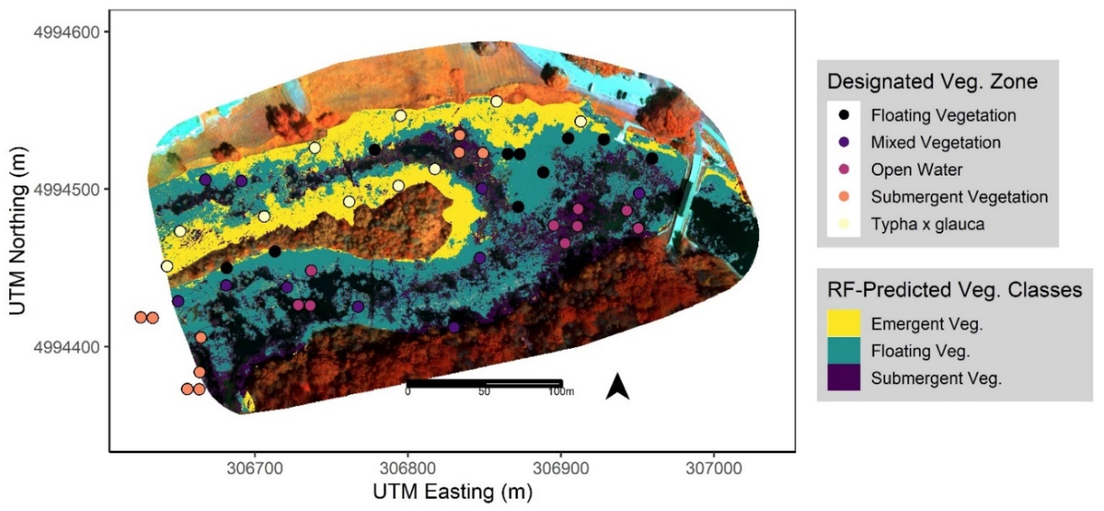 Remotesensing 13 04733 g004