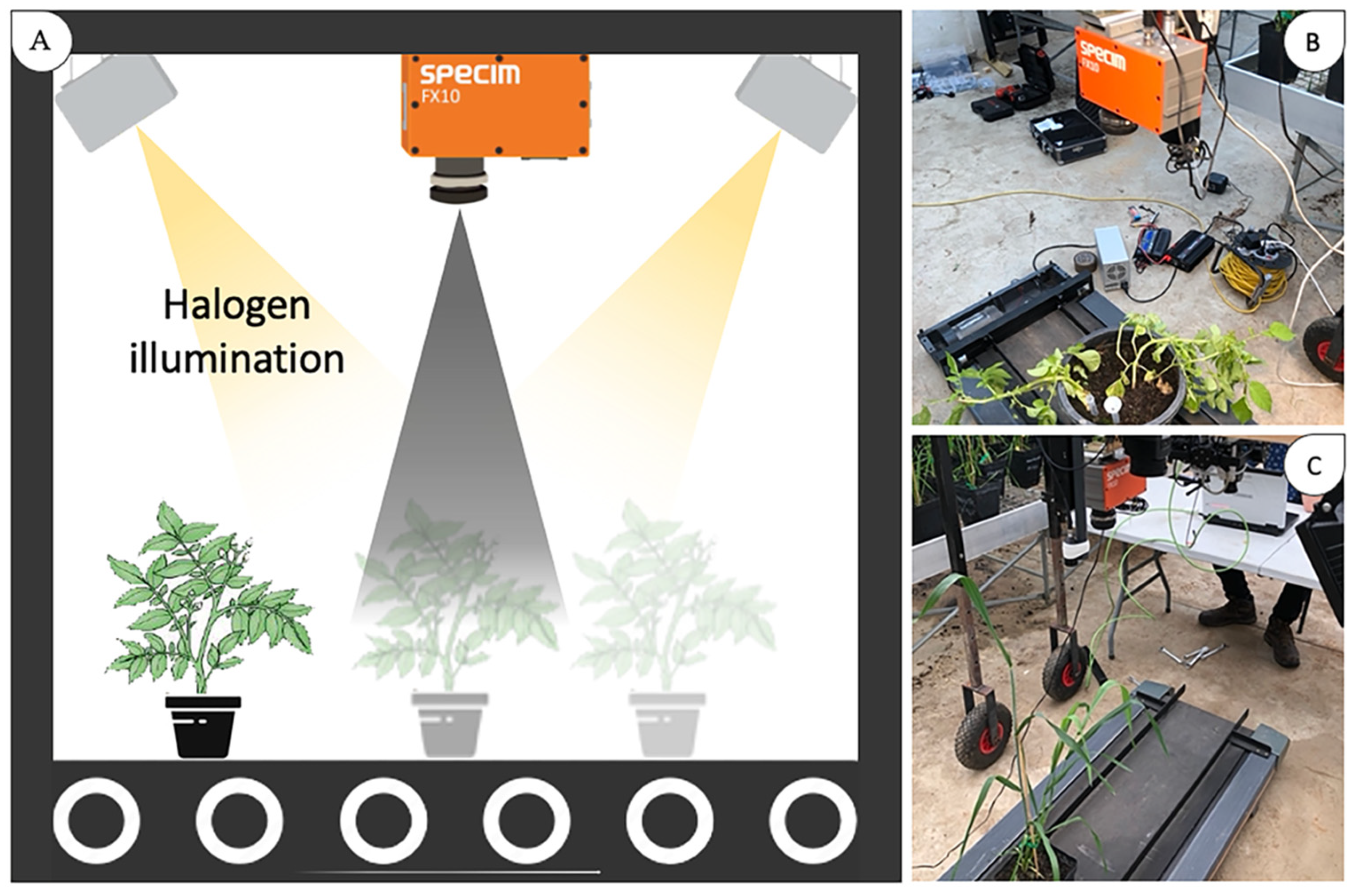 Remotesensing 13 04735 g001