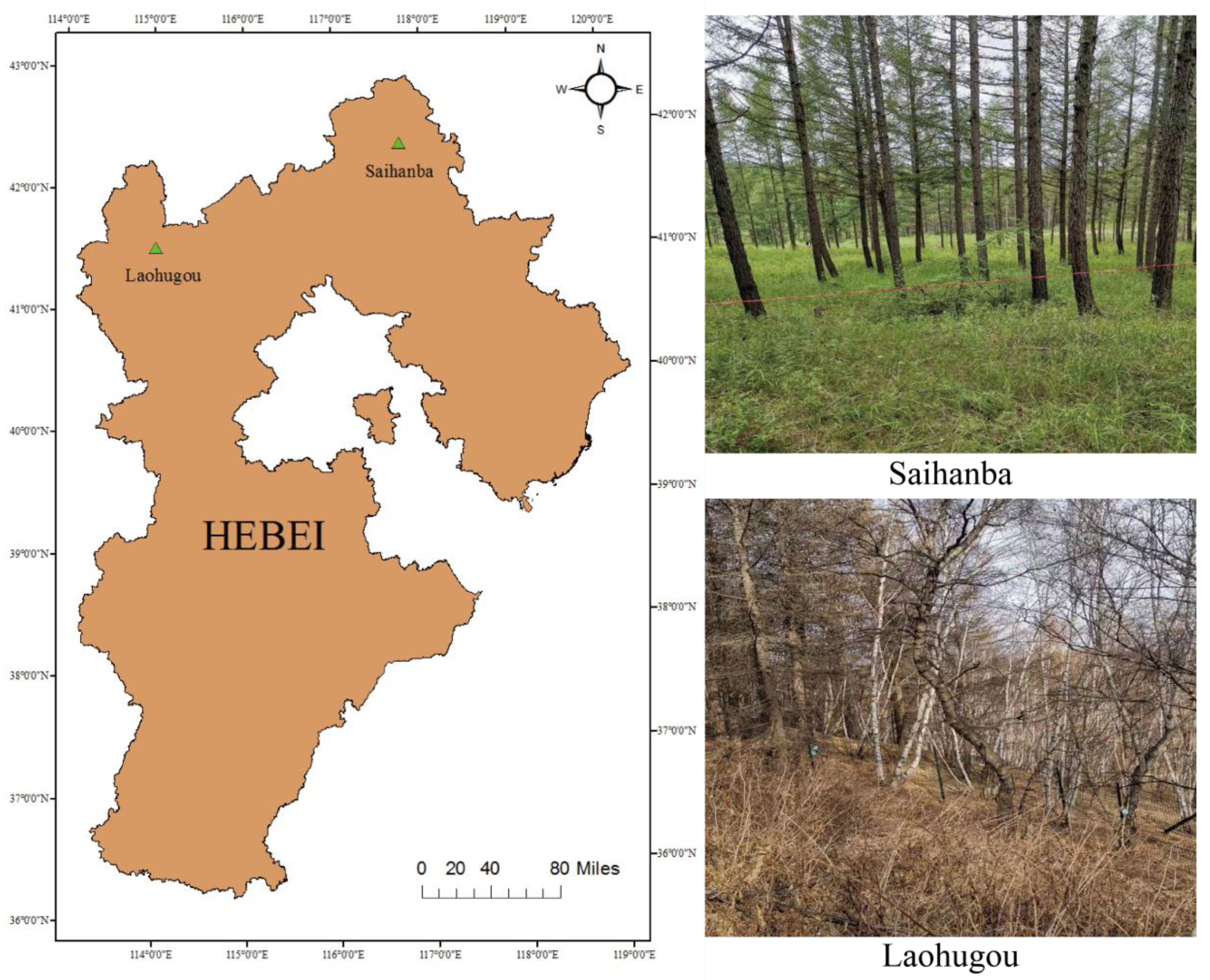 Remotesensing 13 04750 g001