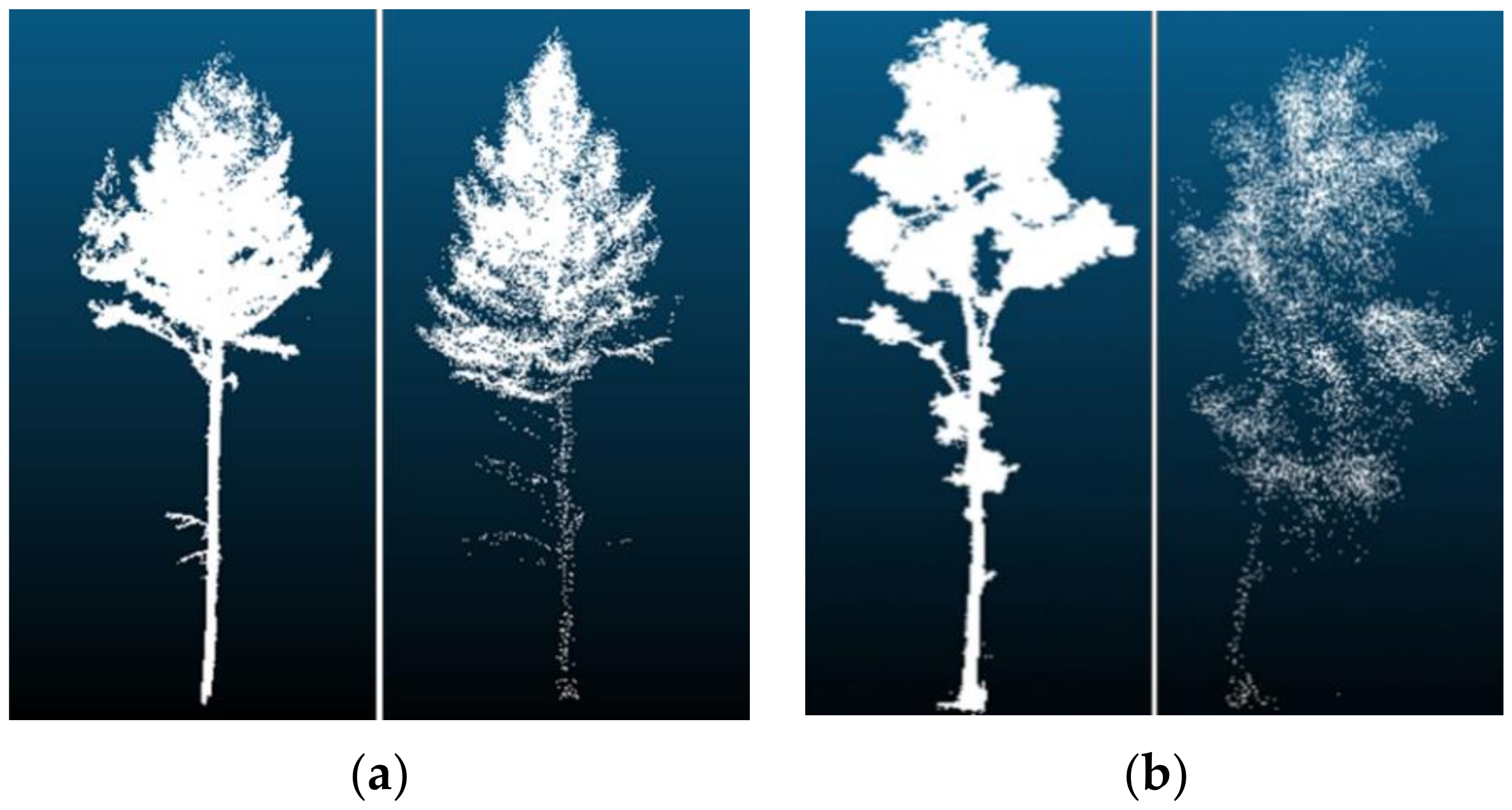 Remotesensing 13 04750 g012