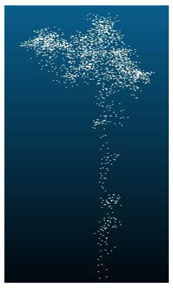 Remotesensing 13 04750 g013