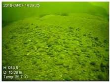 Remotesensing 13 04771 i006